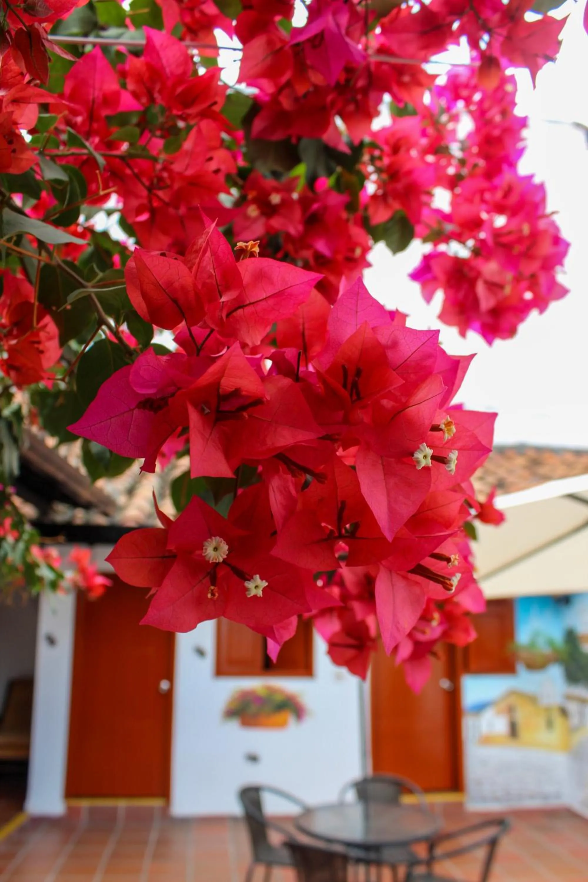 Day in Hotel Colonial San Felipe