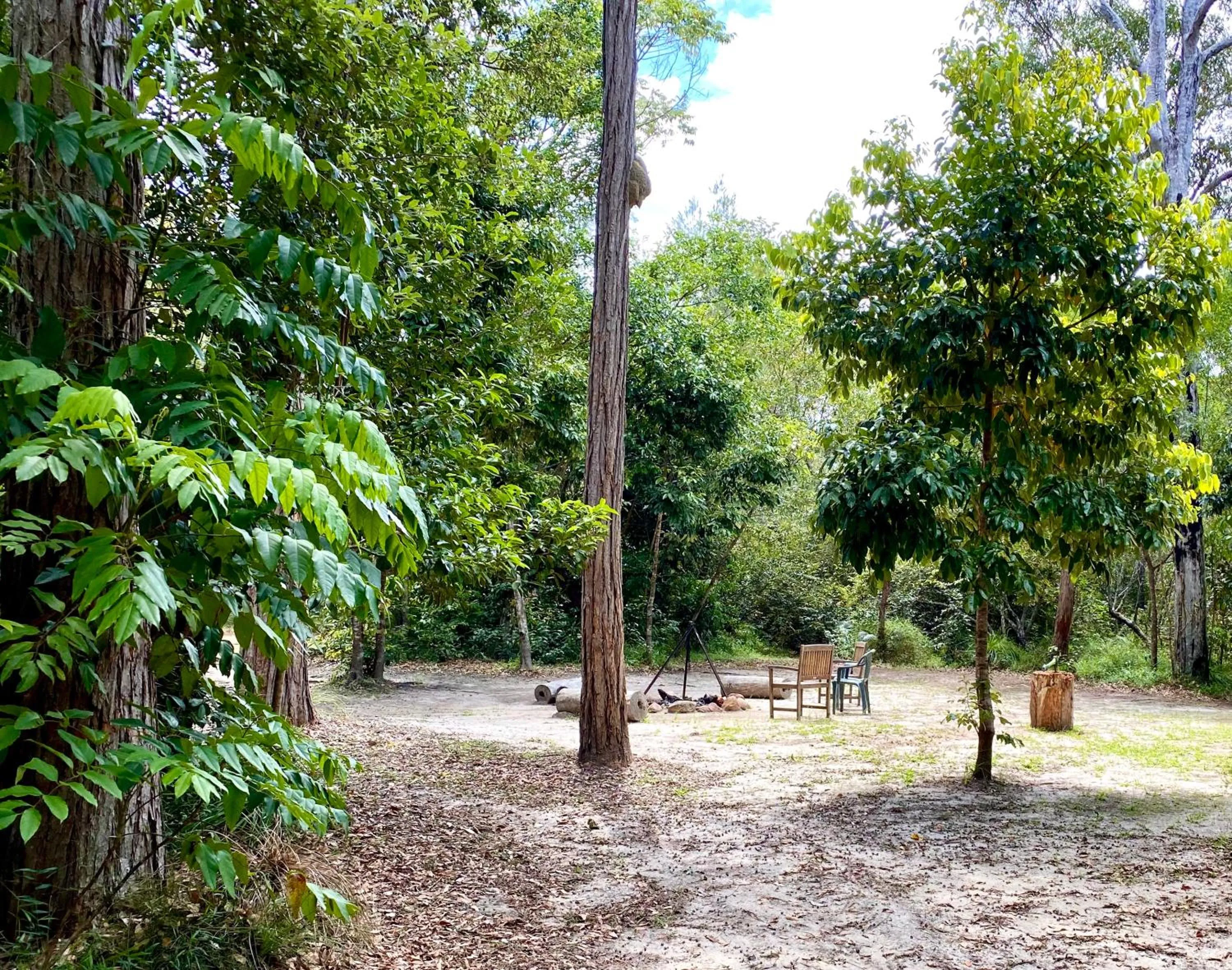 Ferns Hideaway Resort