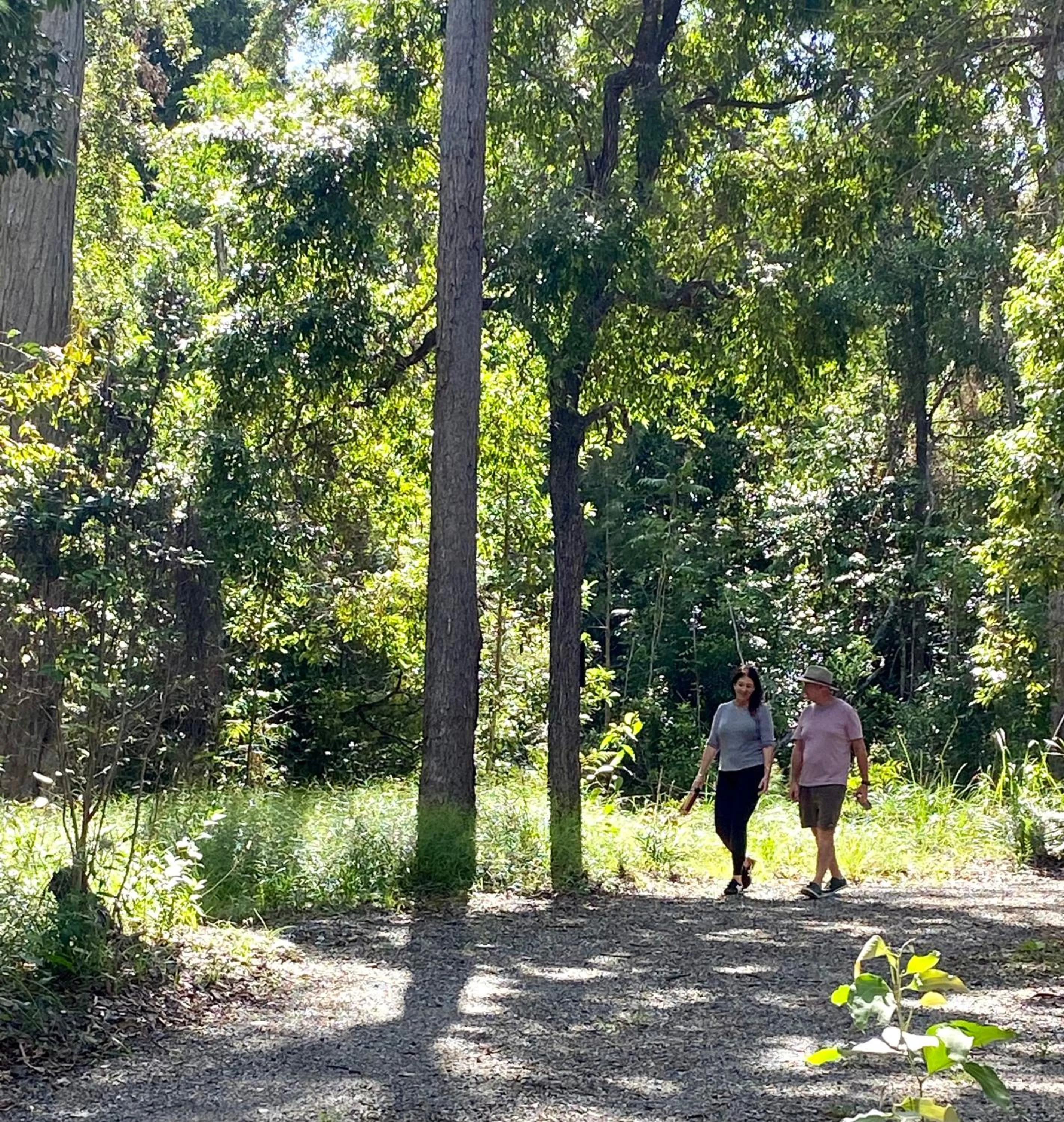 Garden in Ferns Hideaway Resort