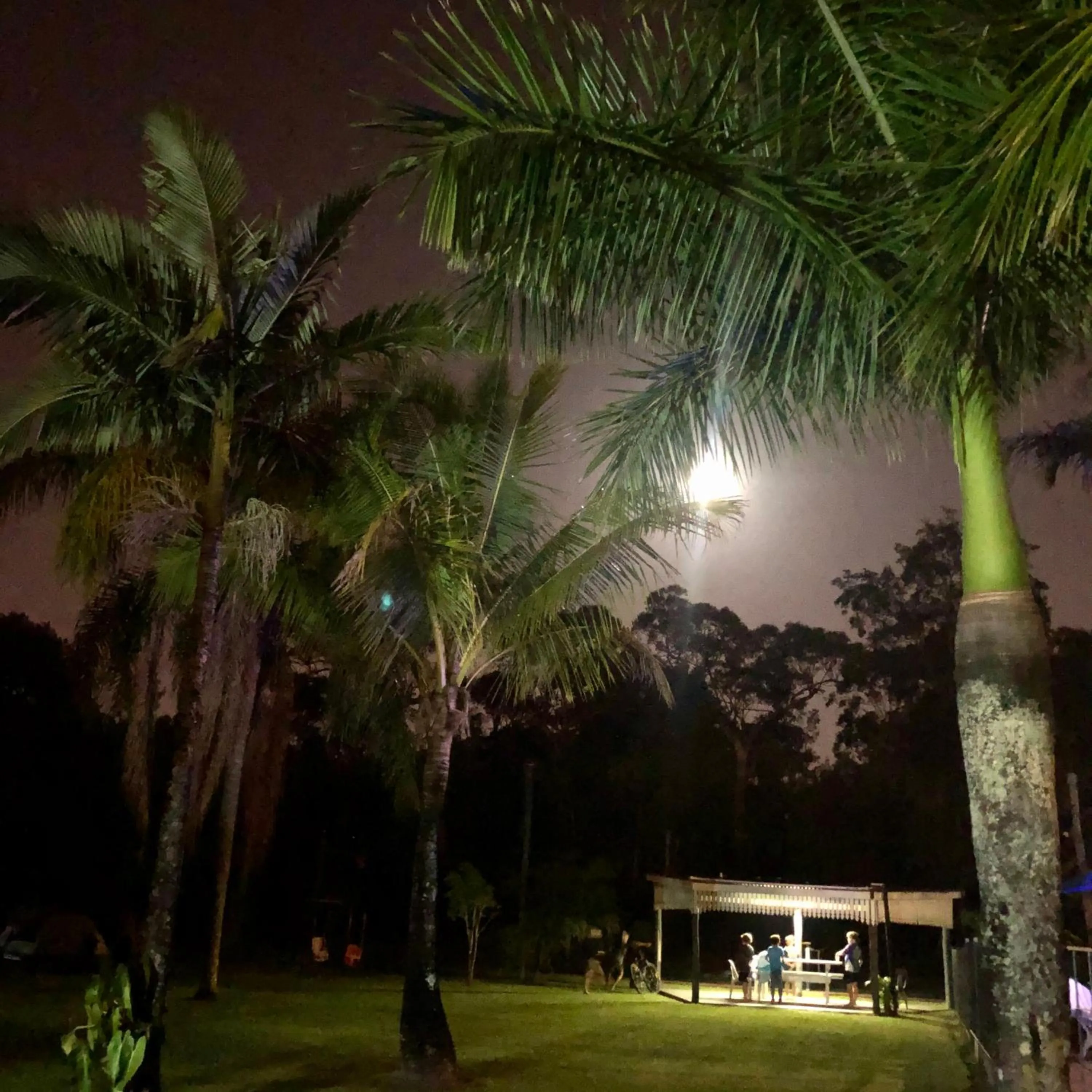 Garden in Ferns Hideaway Resort