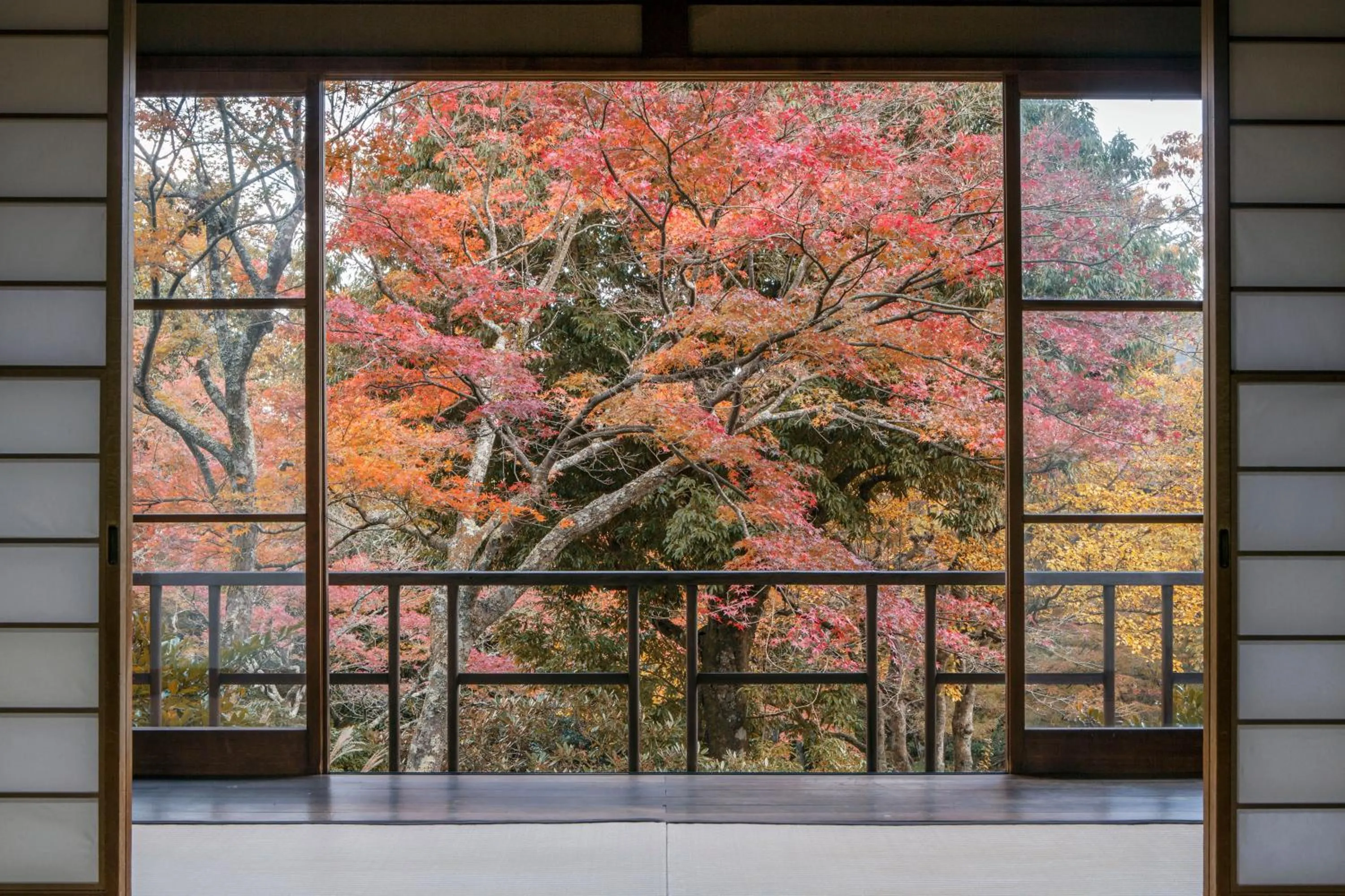 Photo of the whole room in Gora Kansuiro