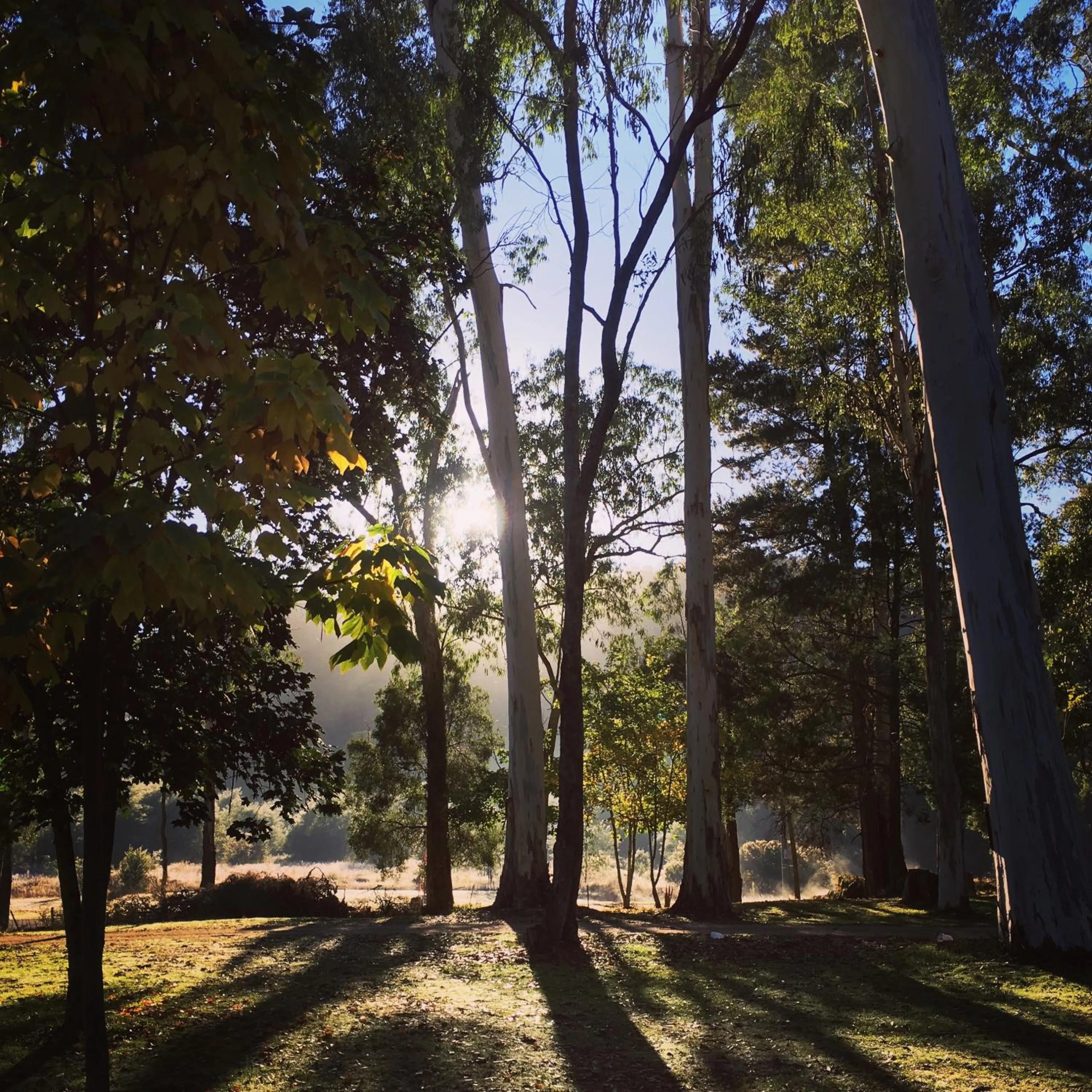 Natural landscape in Bright Cabin Park
