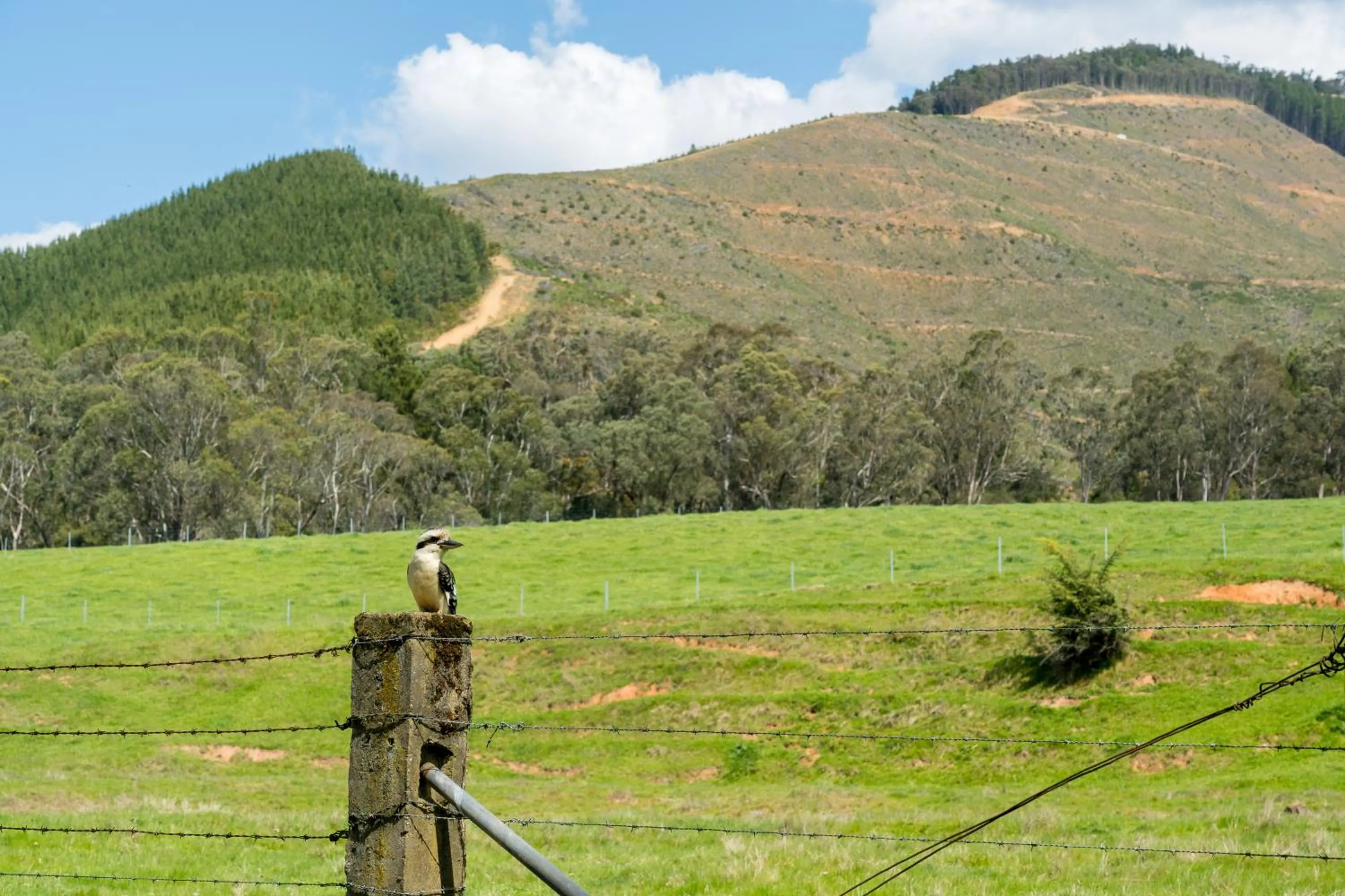Nearby landmark in Bright Cabin Park