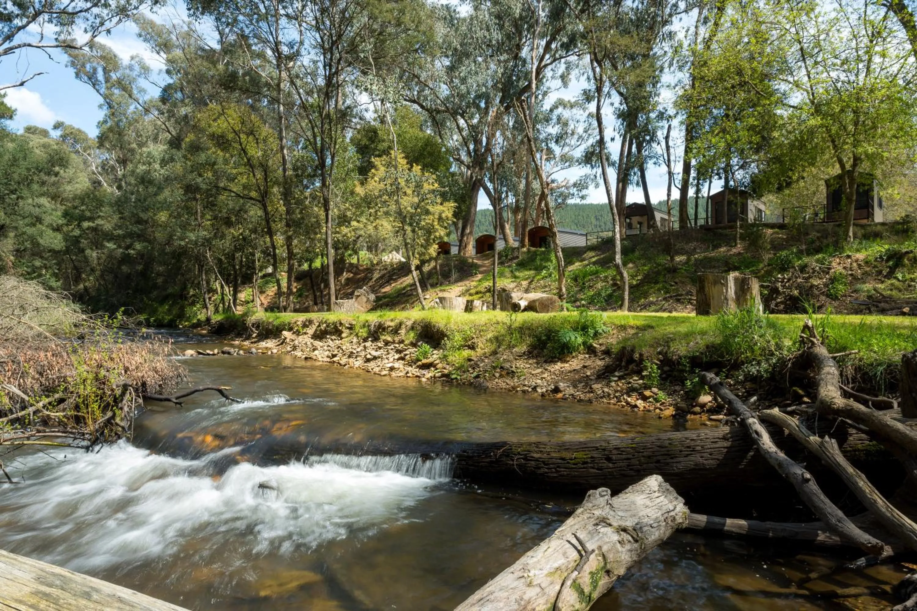 River view in Bright Cabin Park