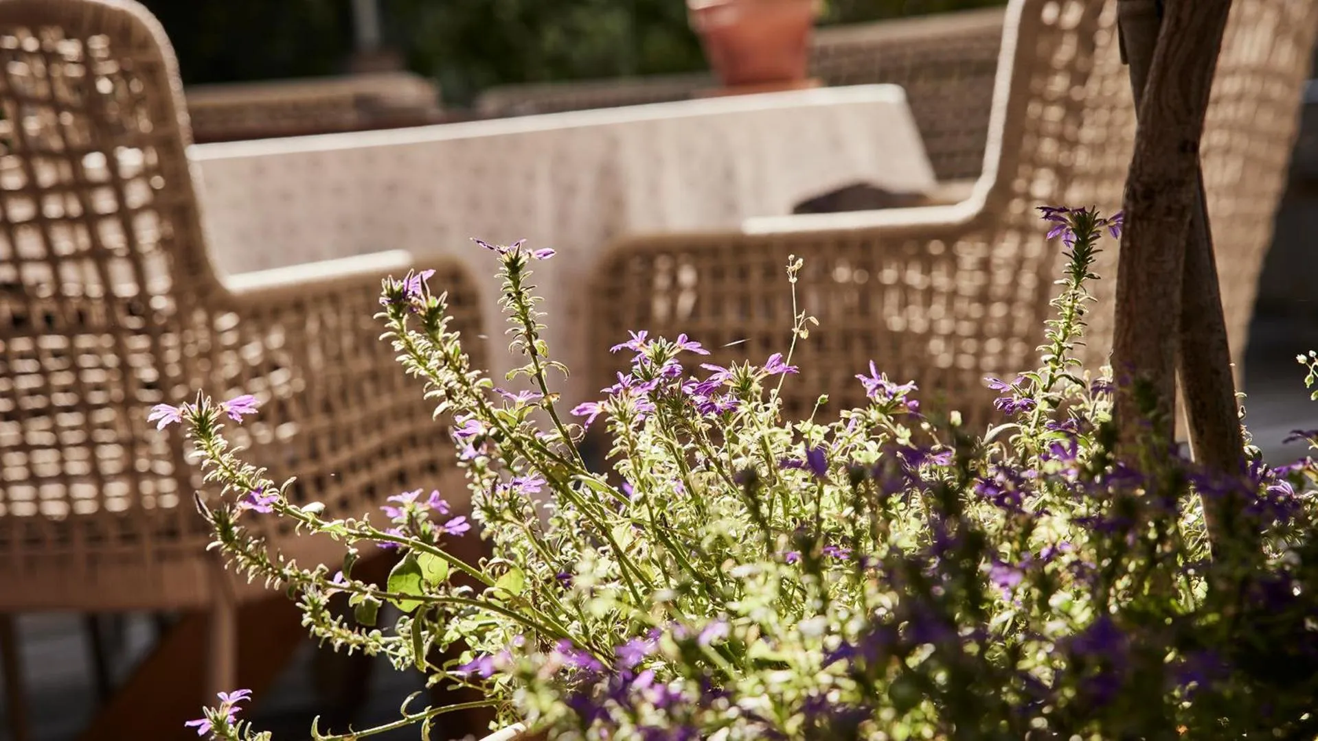 Restaurant/places to eat in Der Brandstetterhof - Adults only