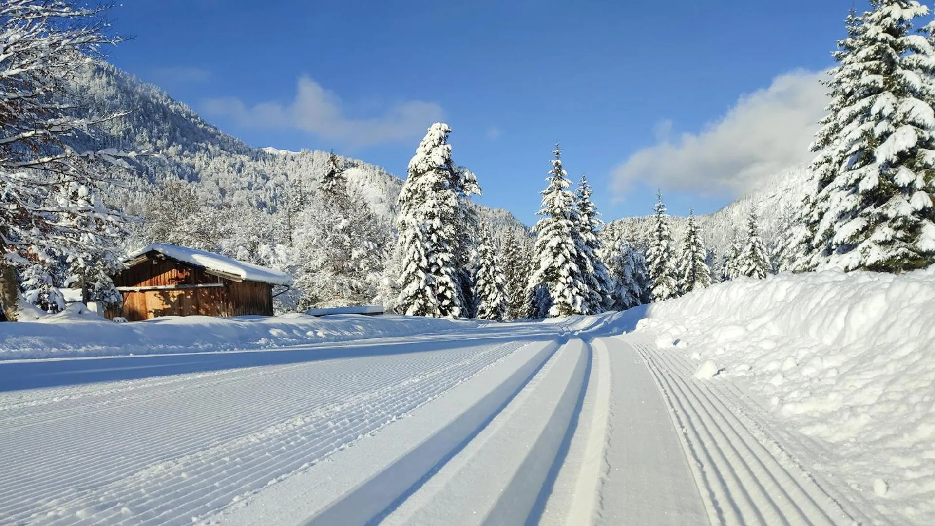 Natural landscape in Der Brandstetterhof - Adults only