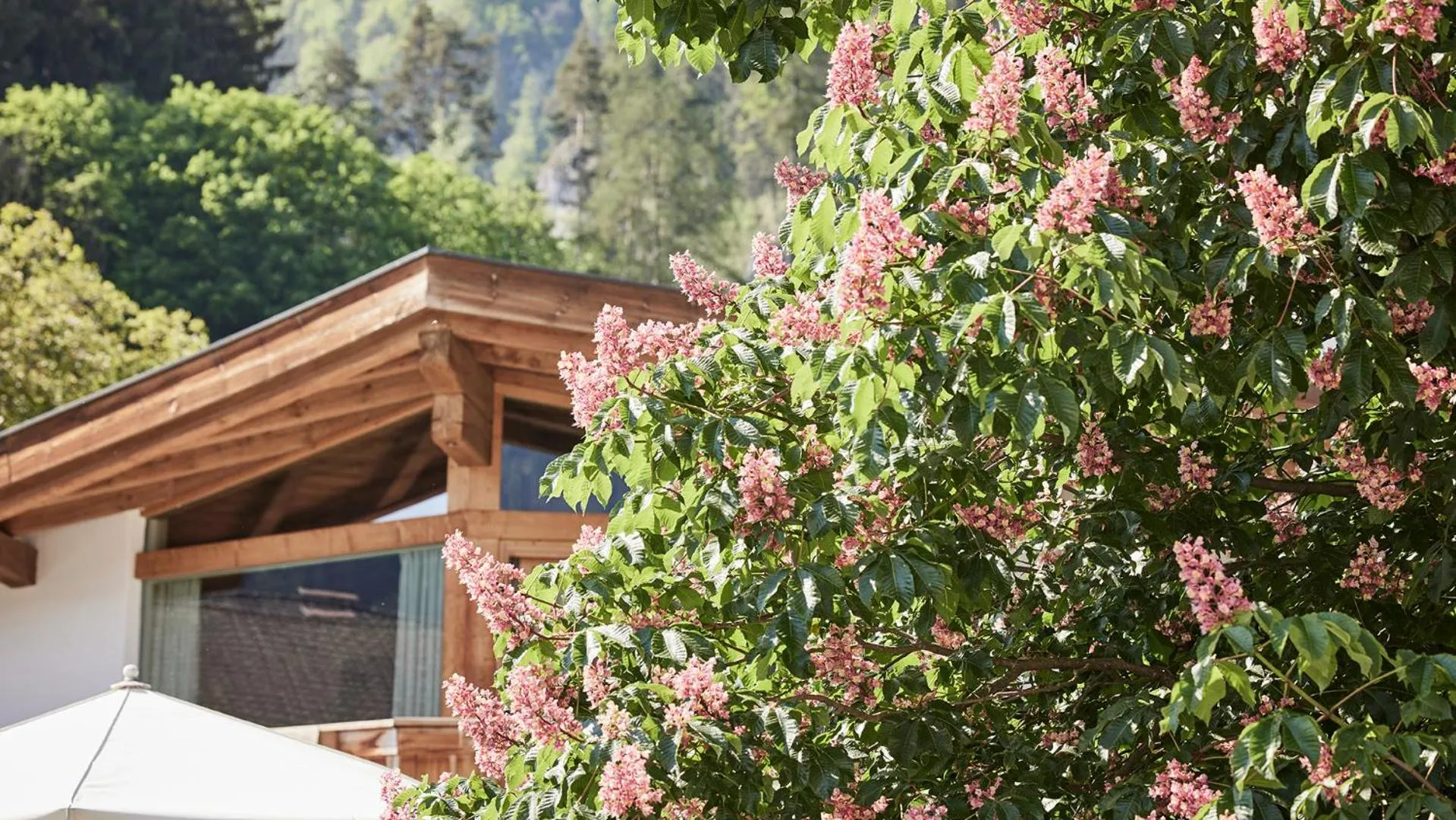 Spring in Der Brandstetterhof - Adults only