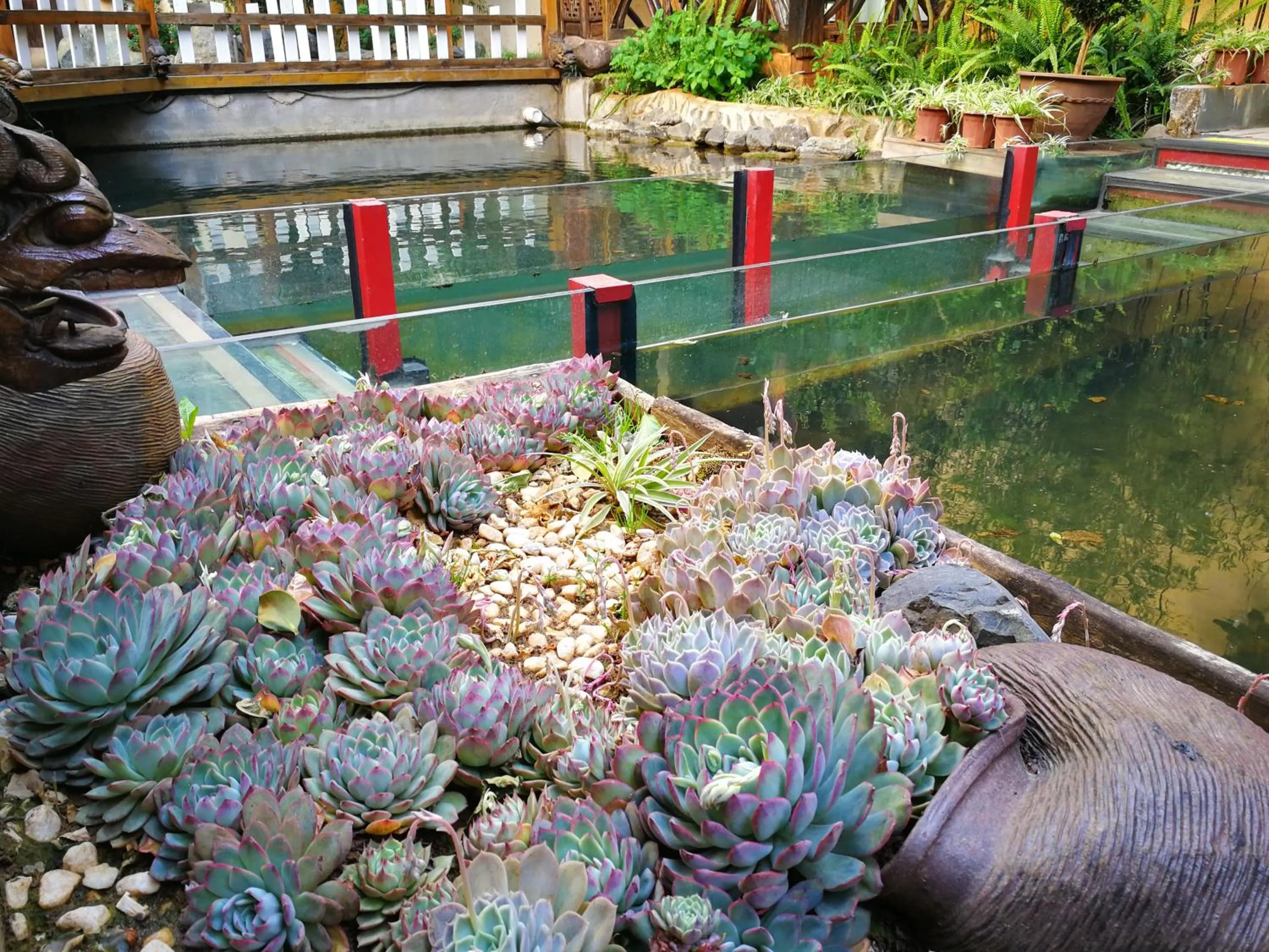 Garden in Old Story Inn Lijiang Old Town