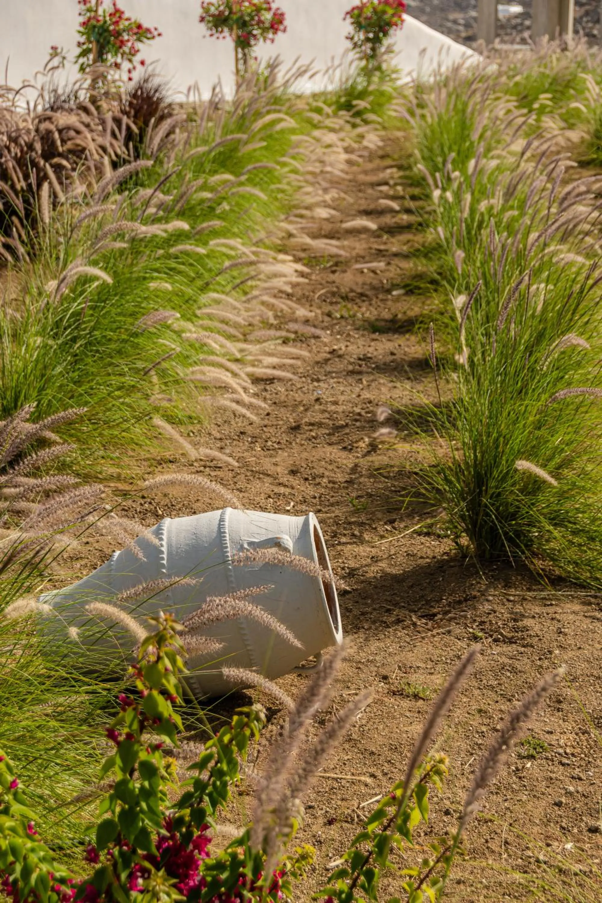 Garden in Lianos Village