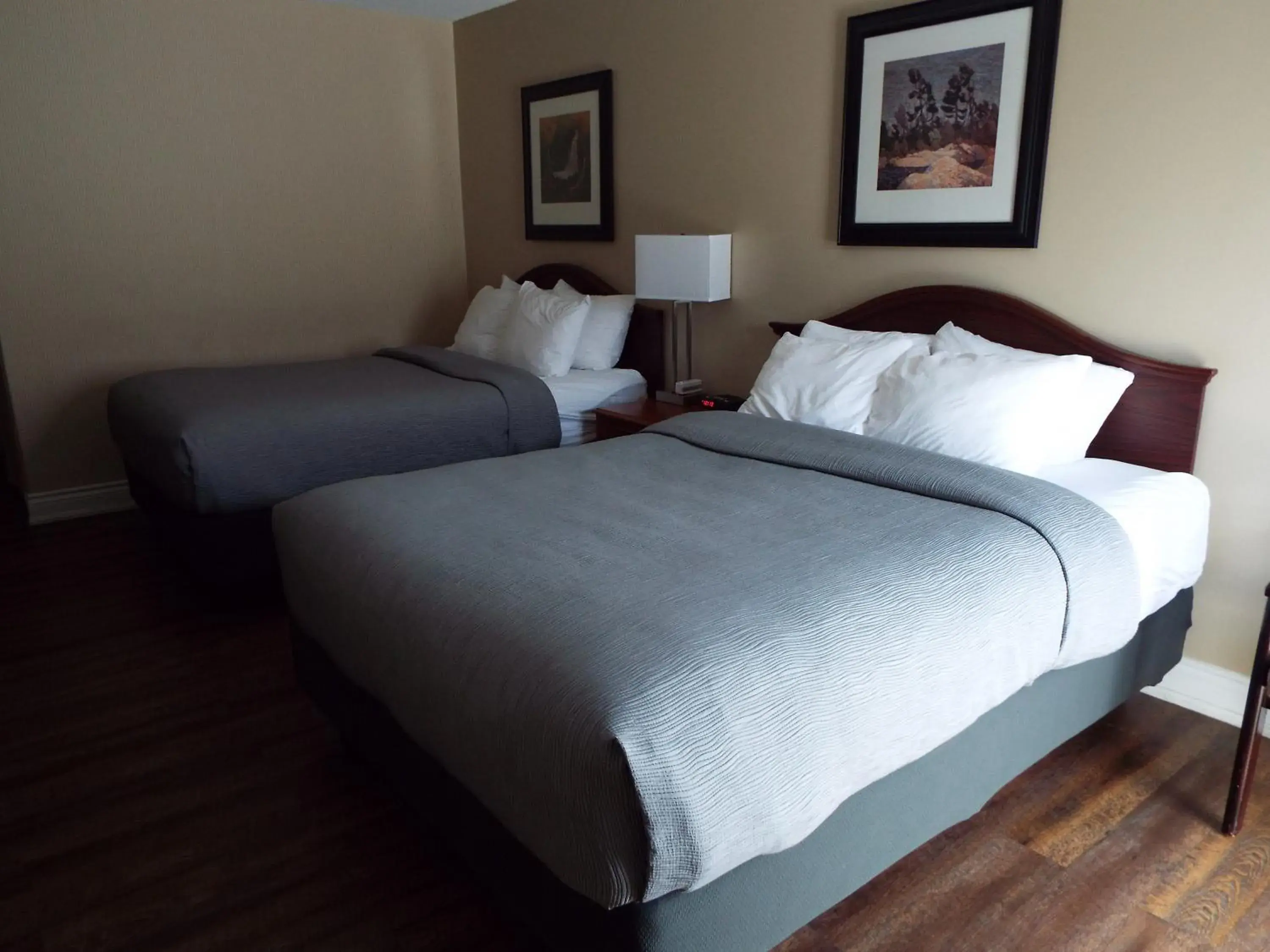 Bedroom, Bed in Quality Inn Bedroom, Bed in Quality Inn