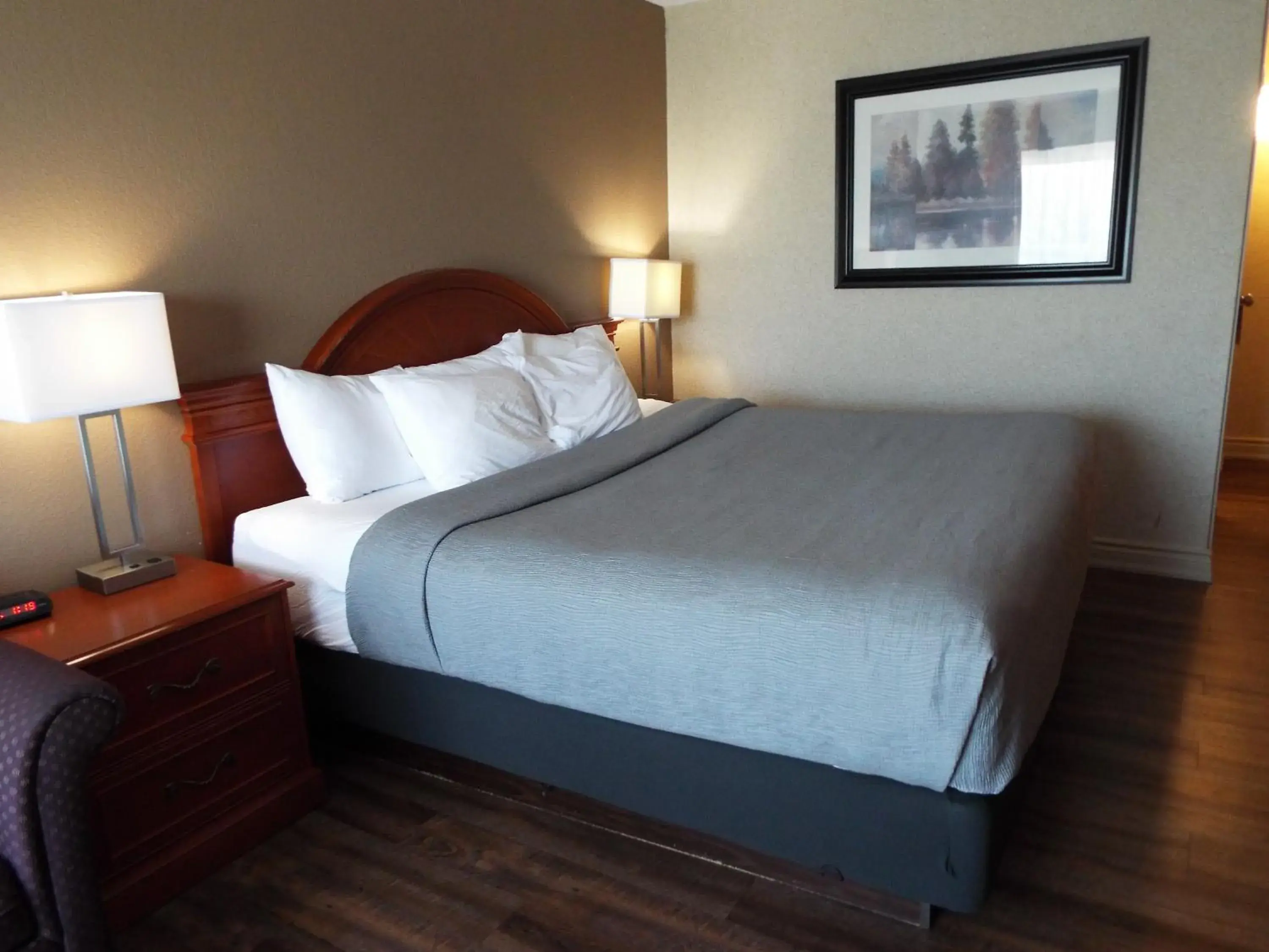 Bed in Quality Inn Bed in Quality Inn