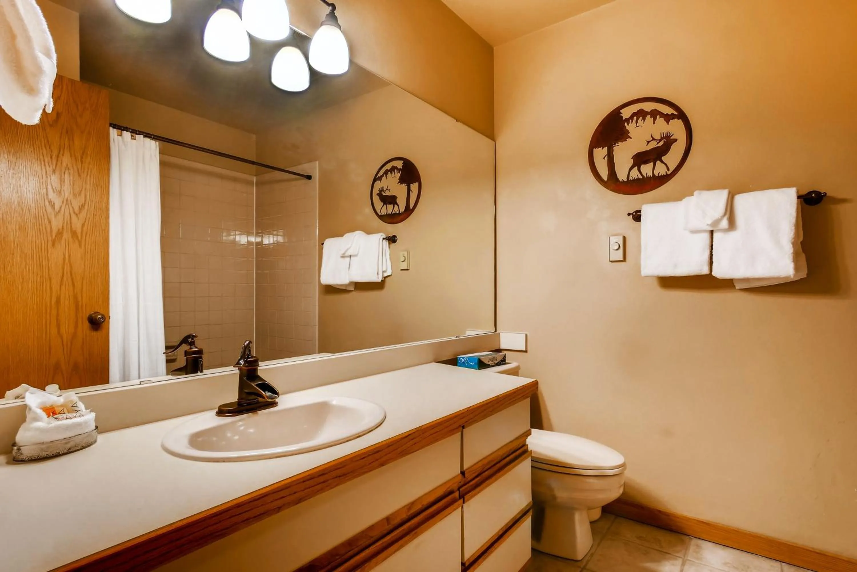 Shower in Snow Flower Condos