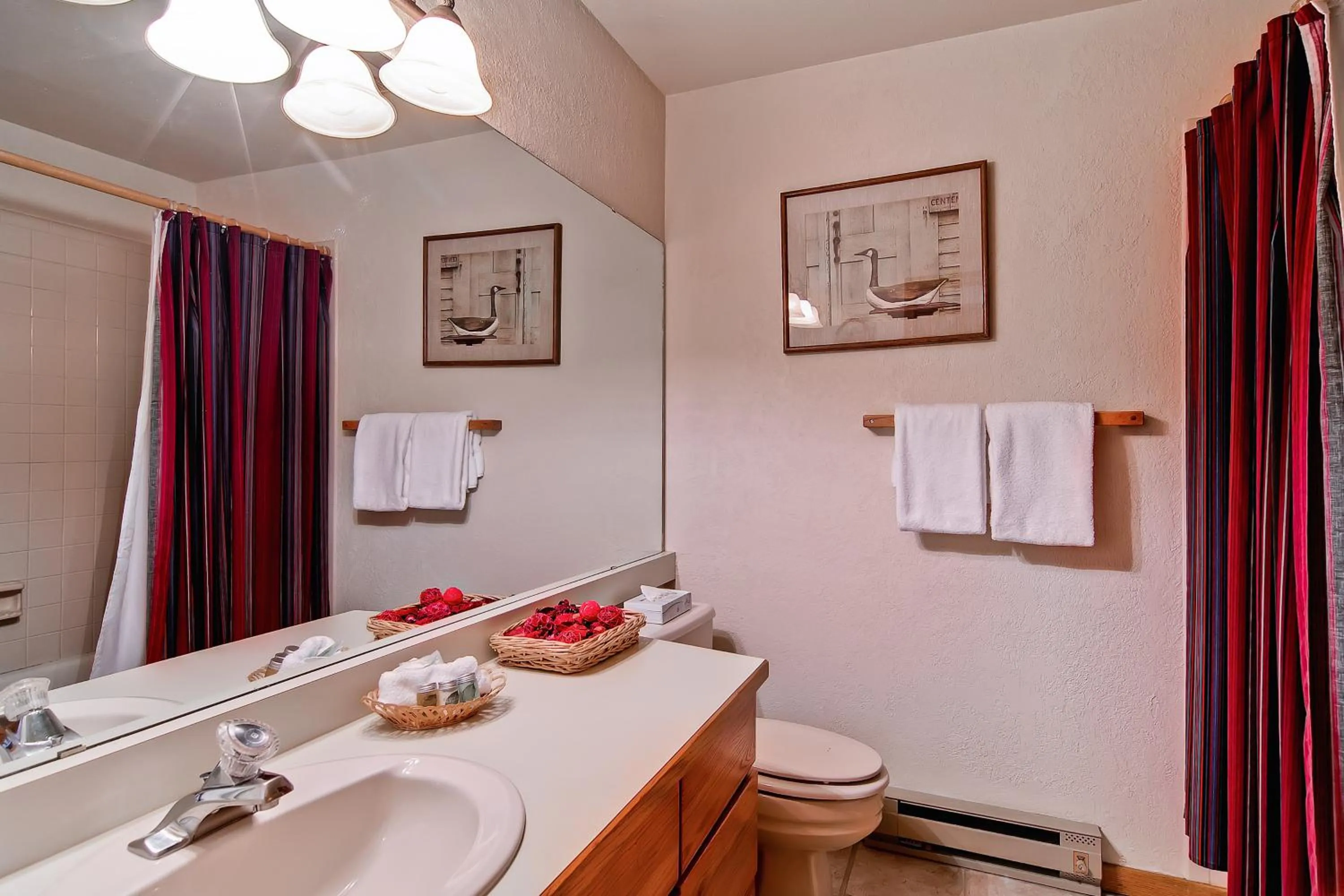 Toilet in Snow Flower Condos