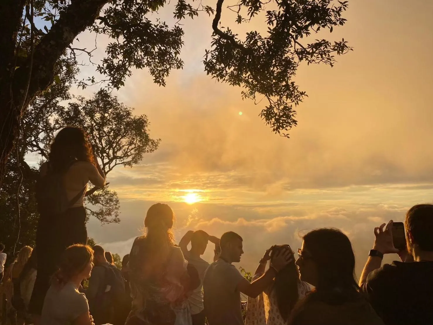 People in The Cabin Backpackers Hostel & Bar
