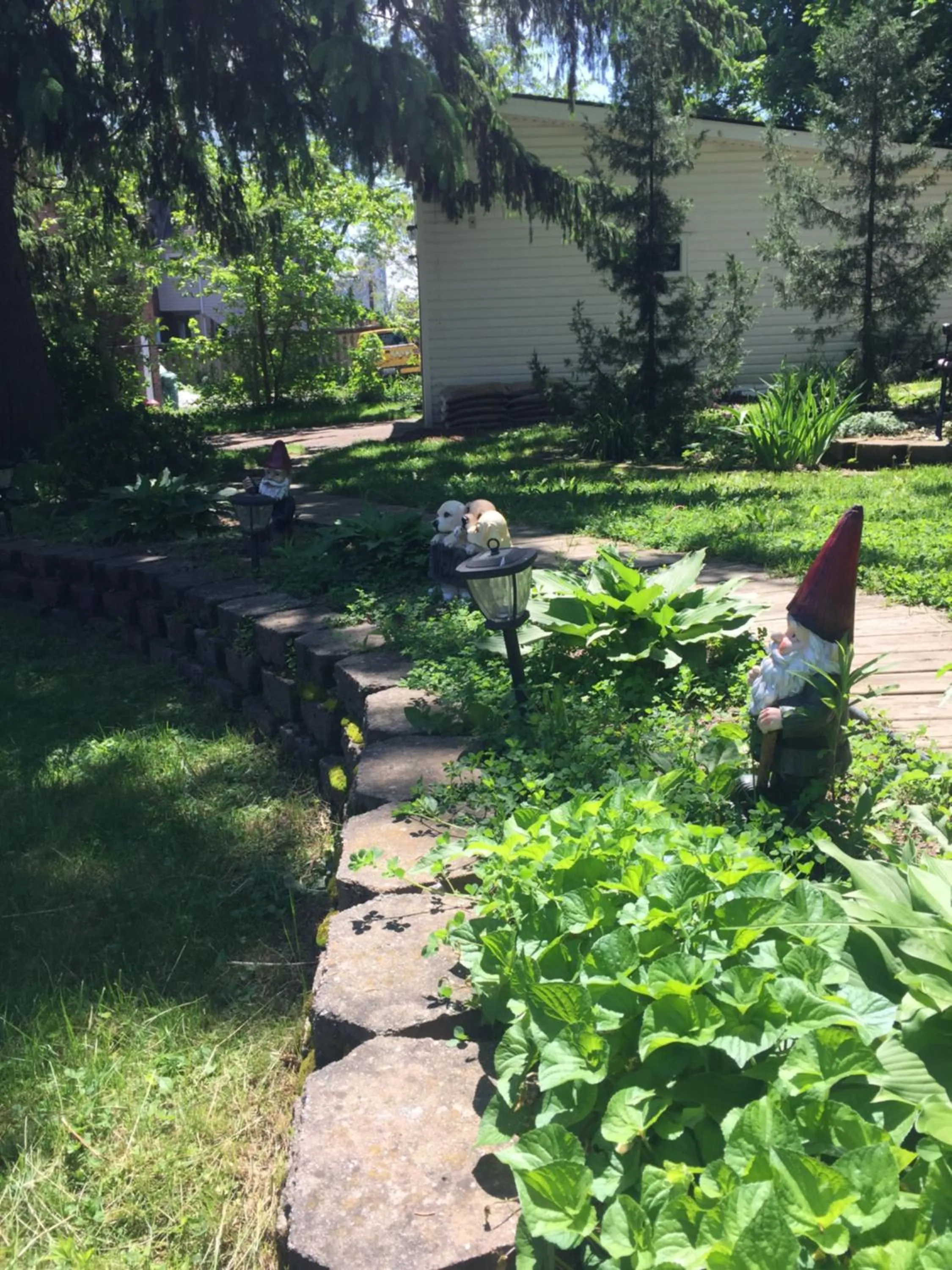 Garden in Susan's Villa