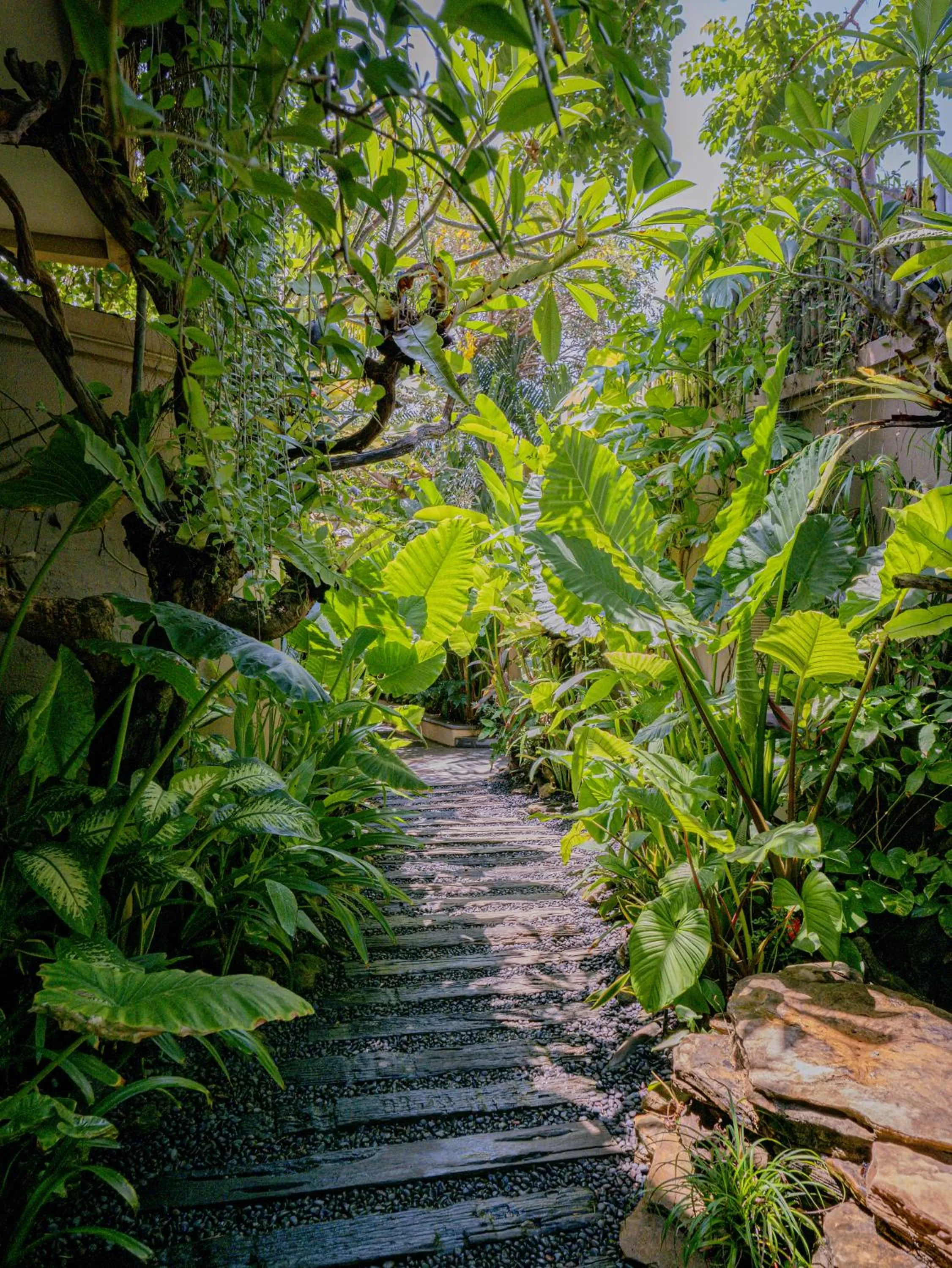 Day in Lasanti Villas Seminyak