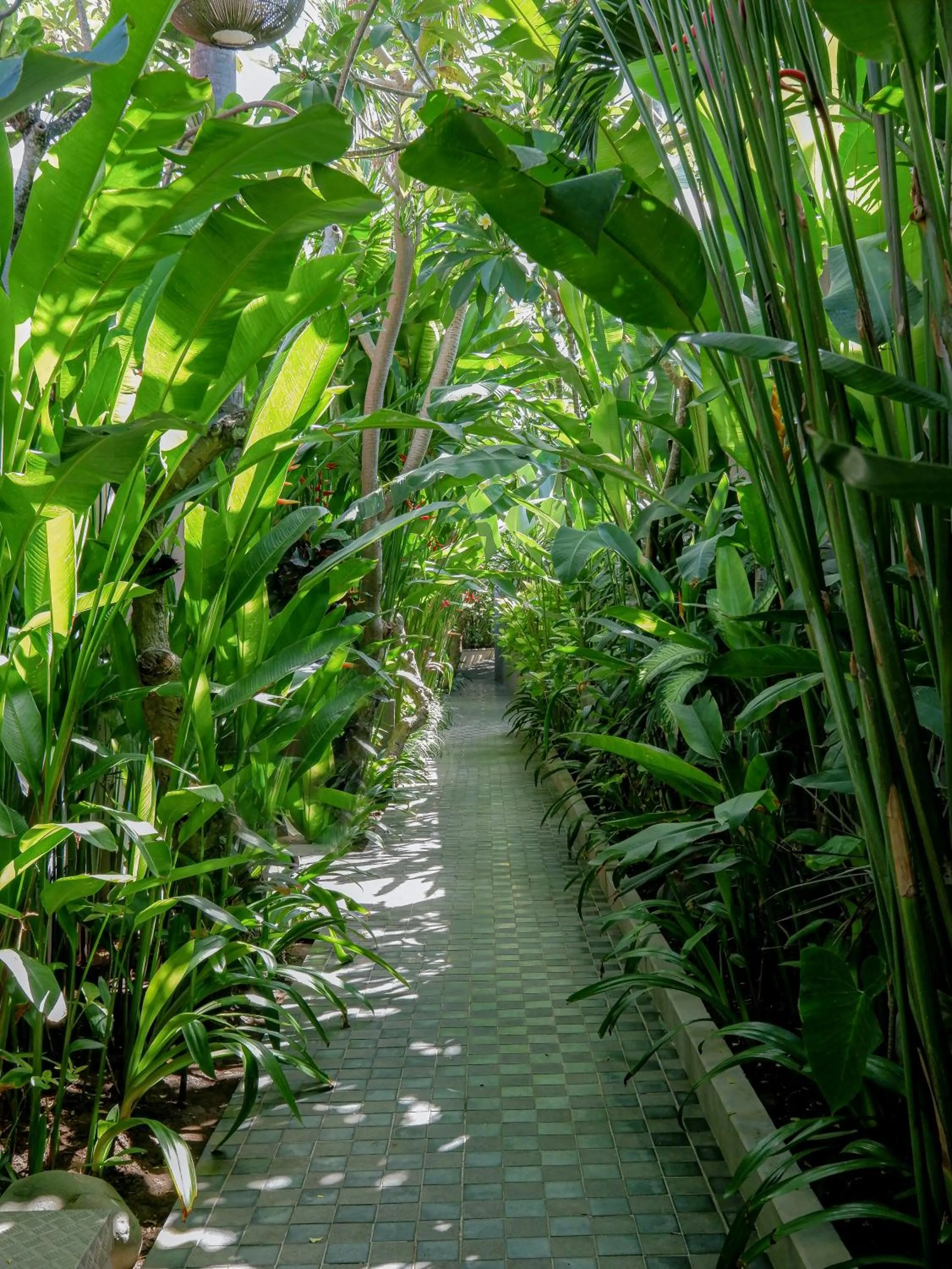 Garden in Lasanti Villas Seminyak