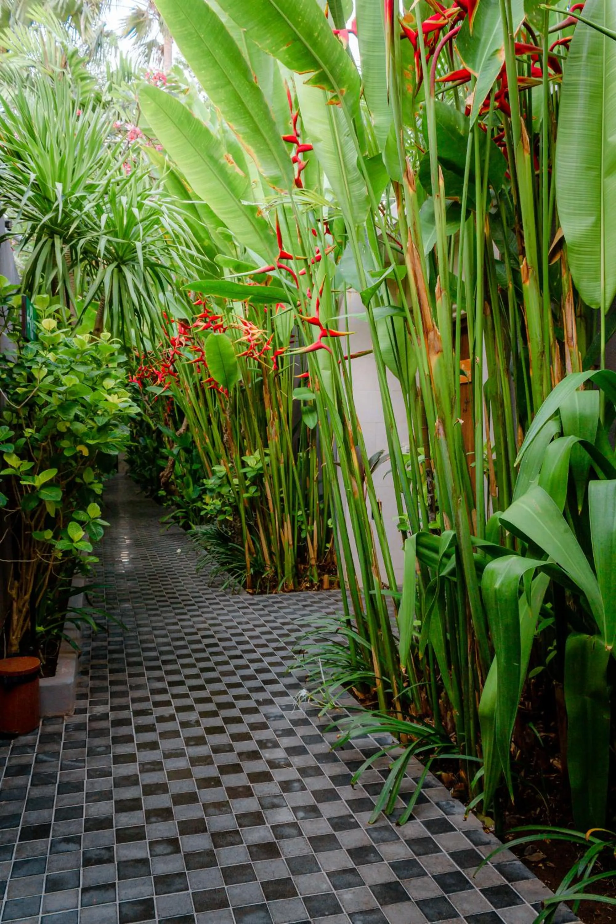 Patio in Lasanti Villas Seminyak