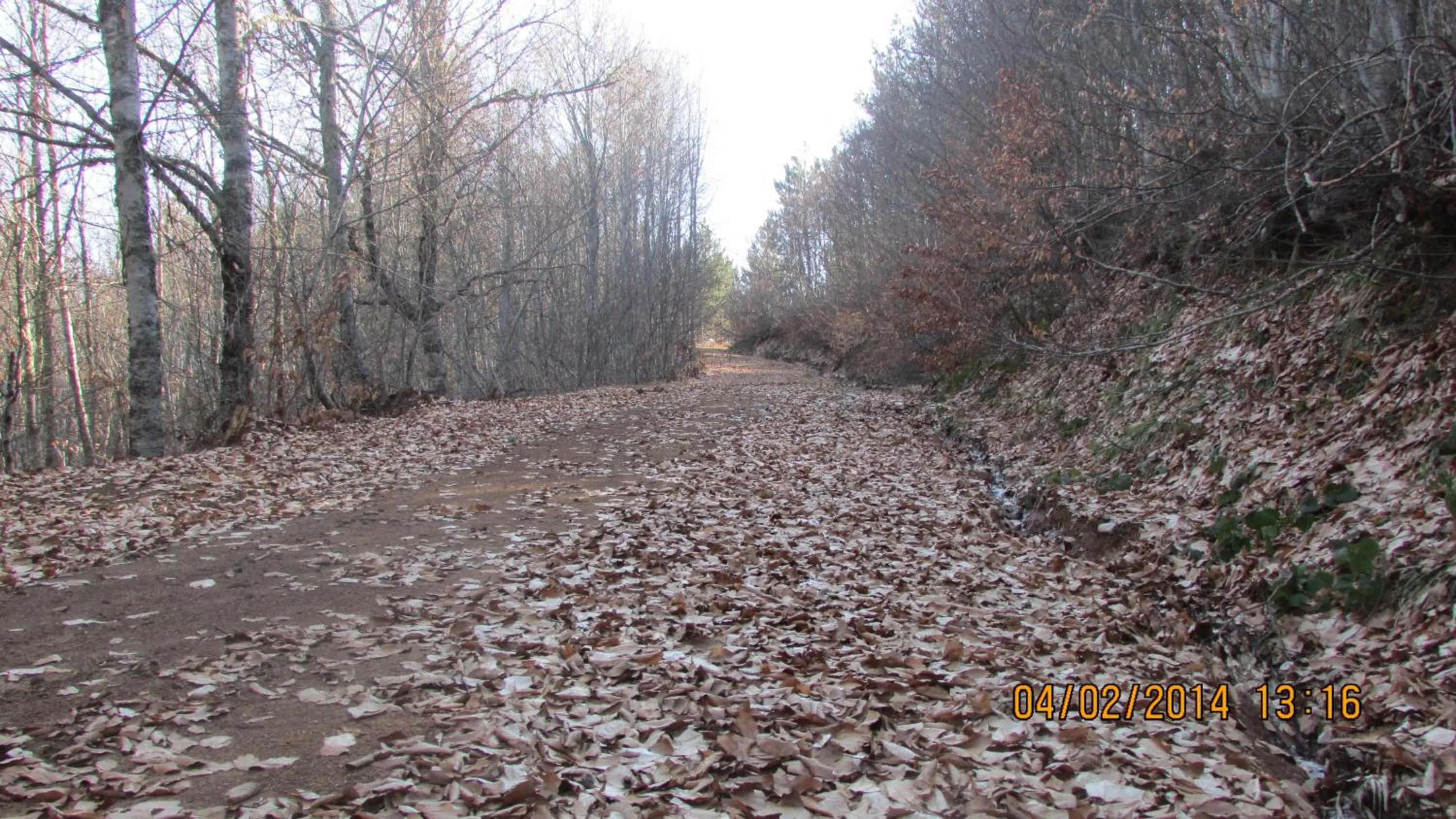 Day in Hindiba Doga Evi