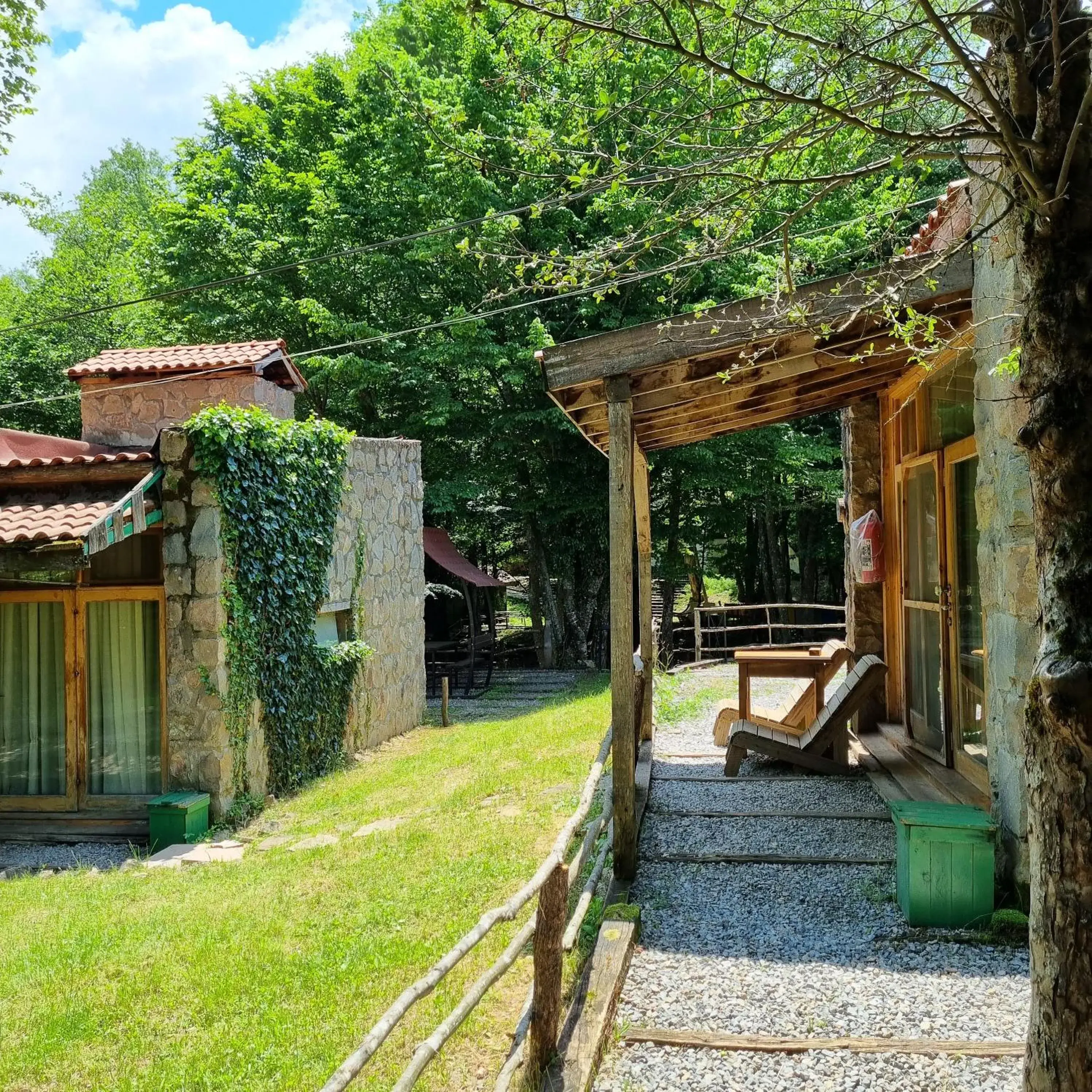 Goknar 2 in Hindiba Doga Evi Goknar 2 in Hindiba Doga Evi