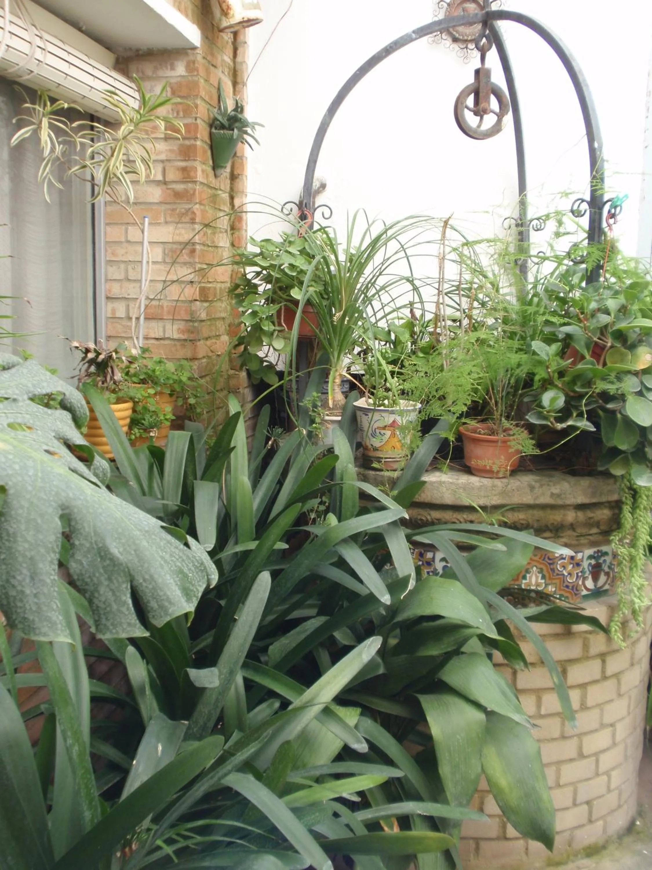 Patio in Hotel San Andres
