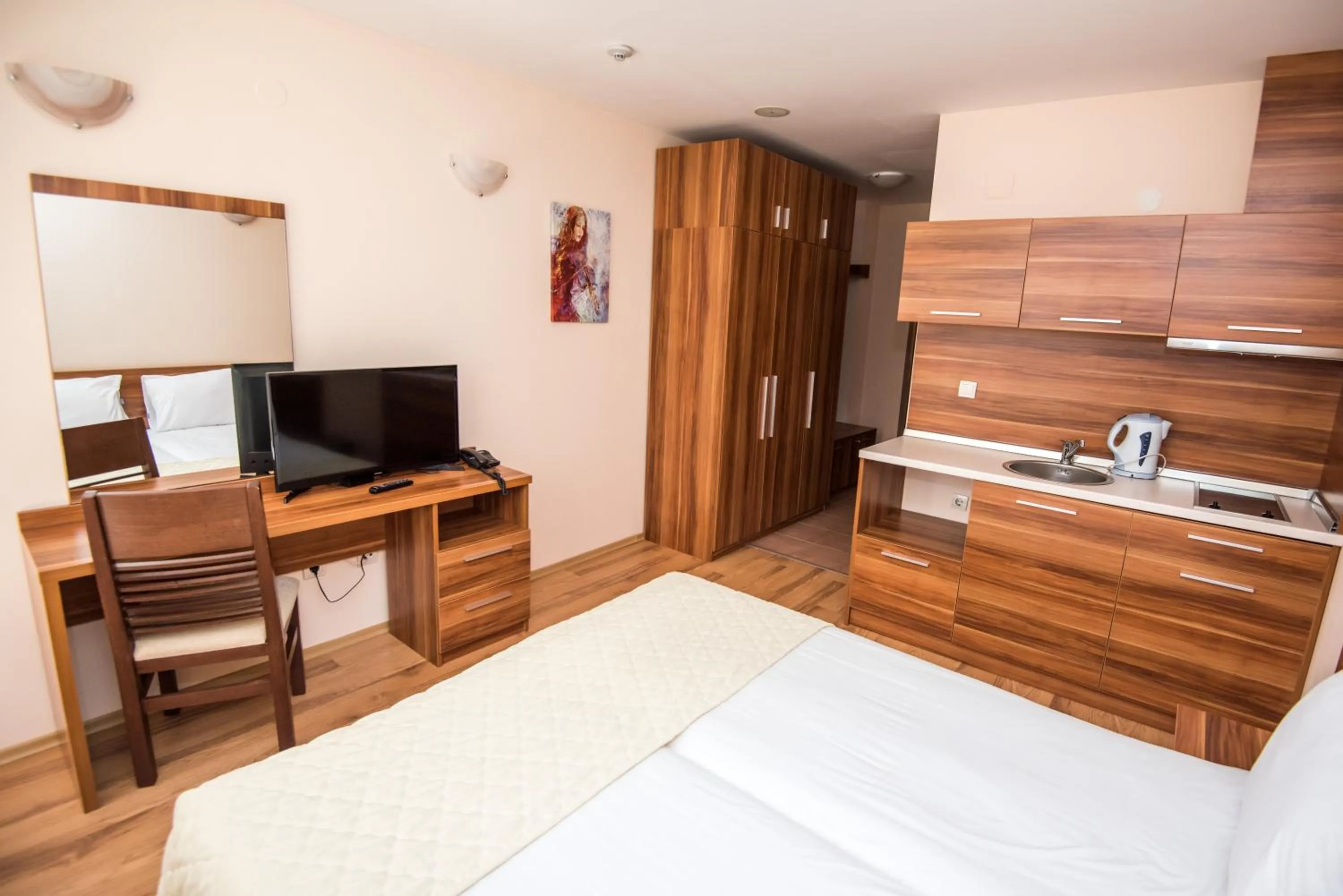 TV and multimedia in Apart Hotel Orbilux