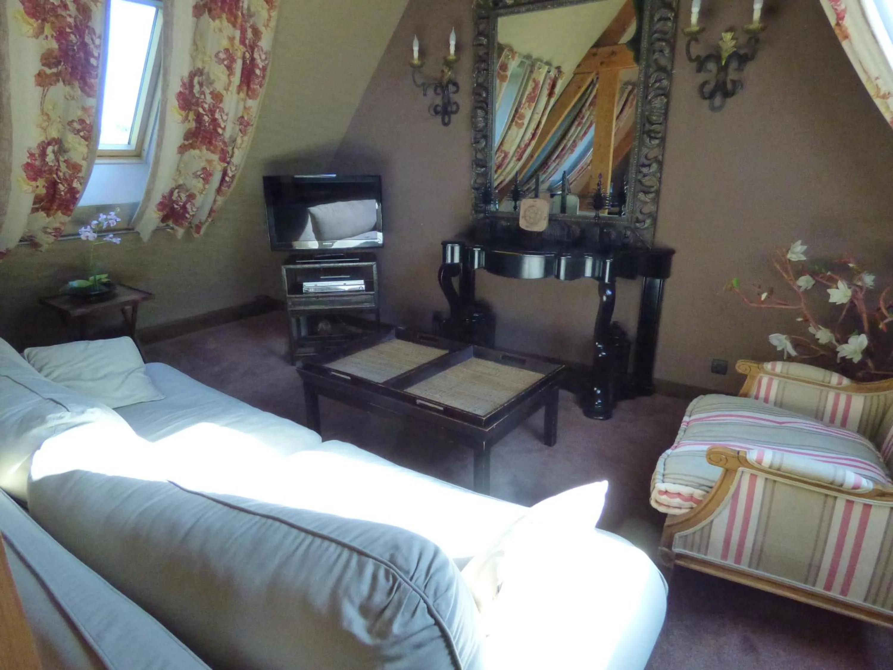 Living room, Bed in Chateau De Fere
