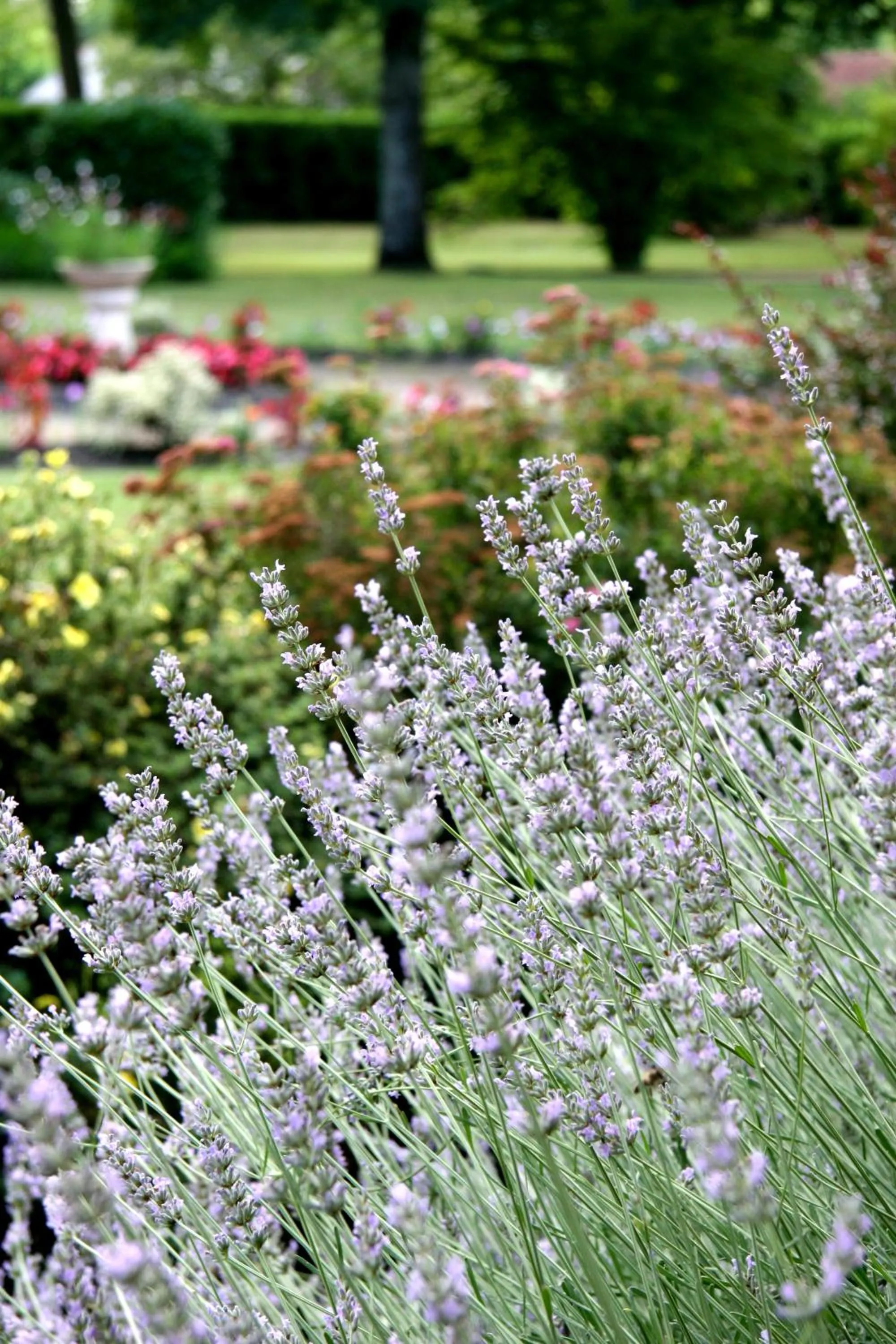 Spring in Auberge des Pins - Teritoria