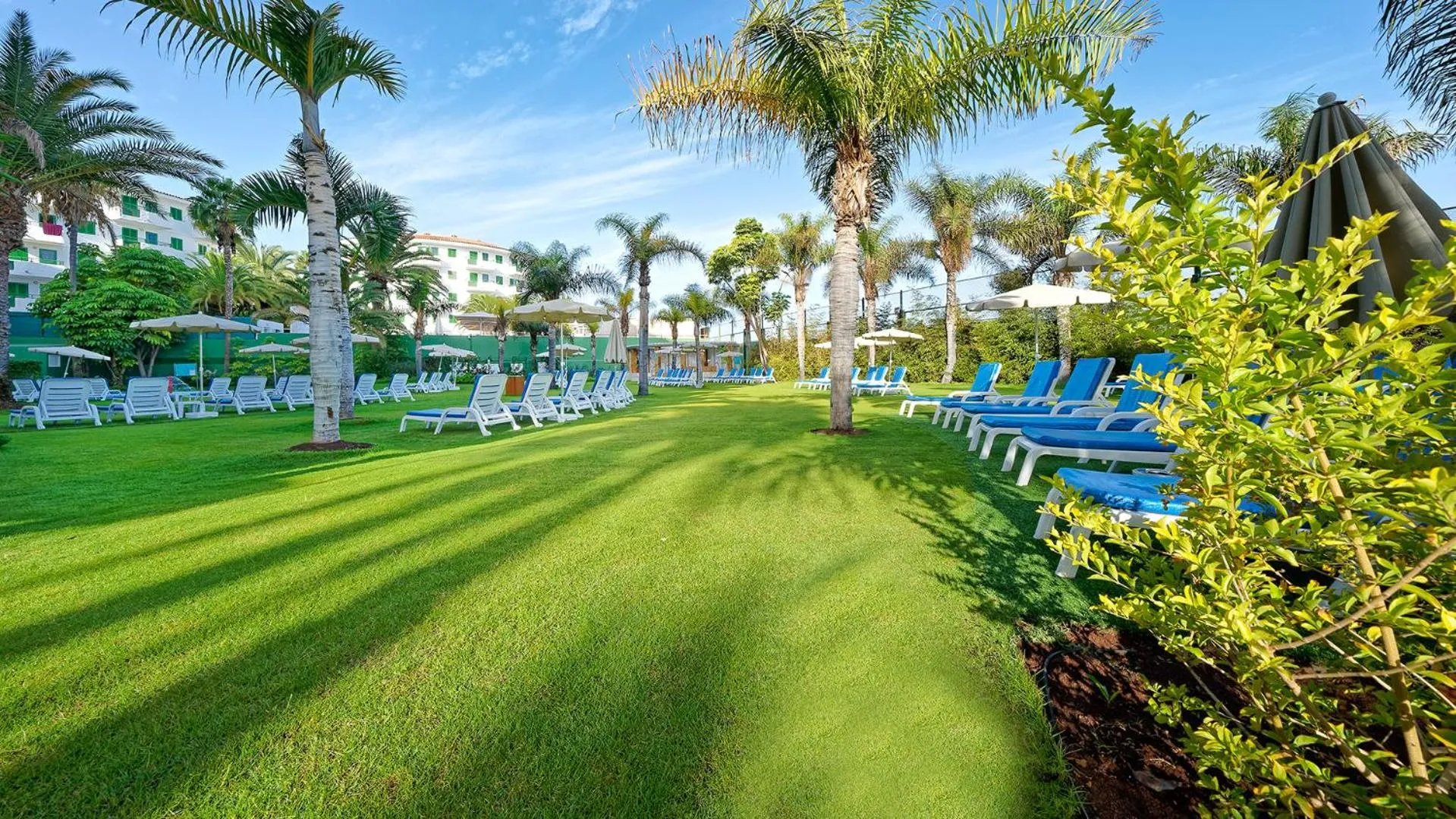 Garden in Bull Escorial & SPA