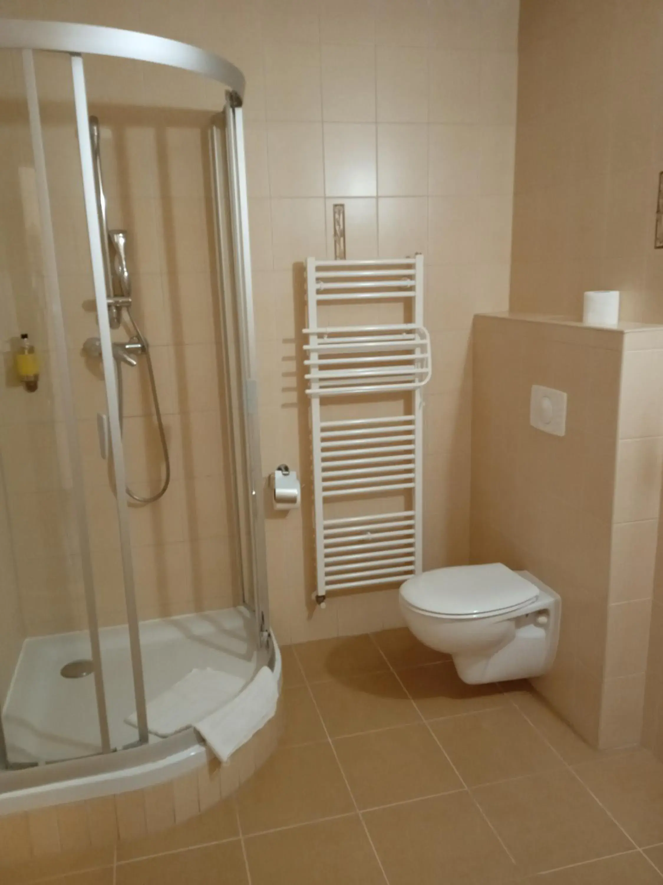 Standard Double Room in Hotel Koliba Standard Double Room in Hotel Koliba