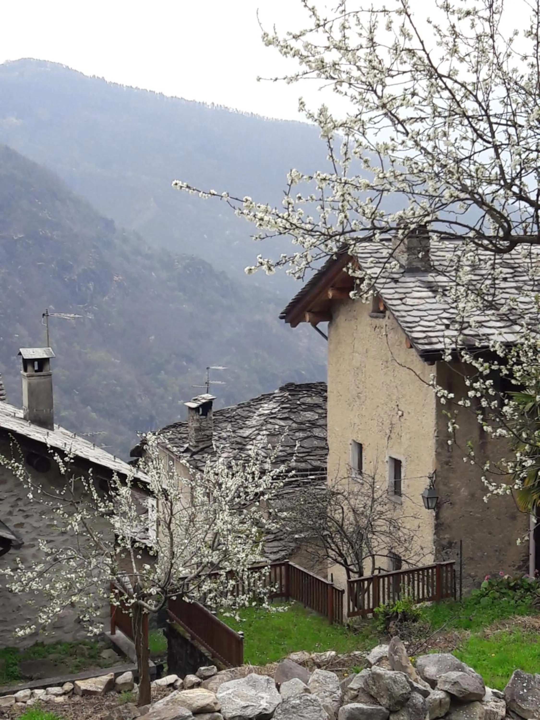 Foresteria B&B Vecchiascuola Pianazzola