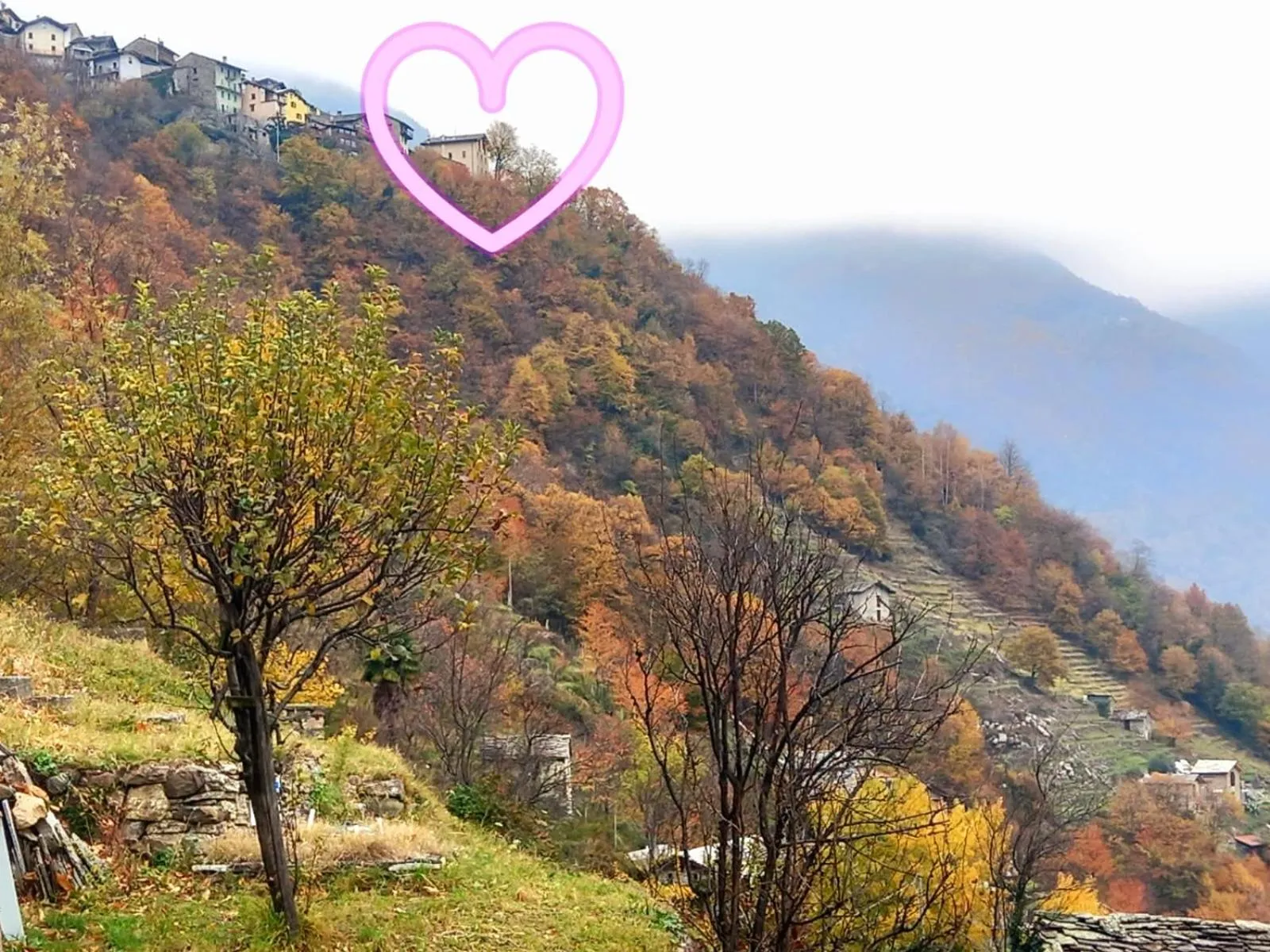 Foresteria B&B Vecchiascuola Pianazzola