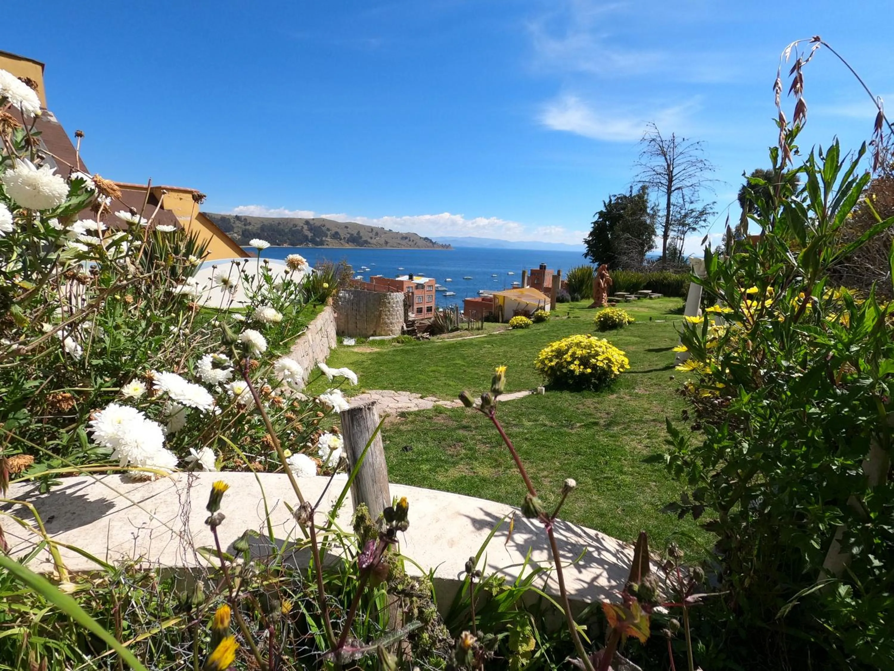 Natural landscape in Hotel La Cupula