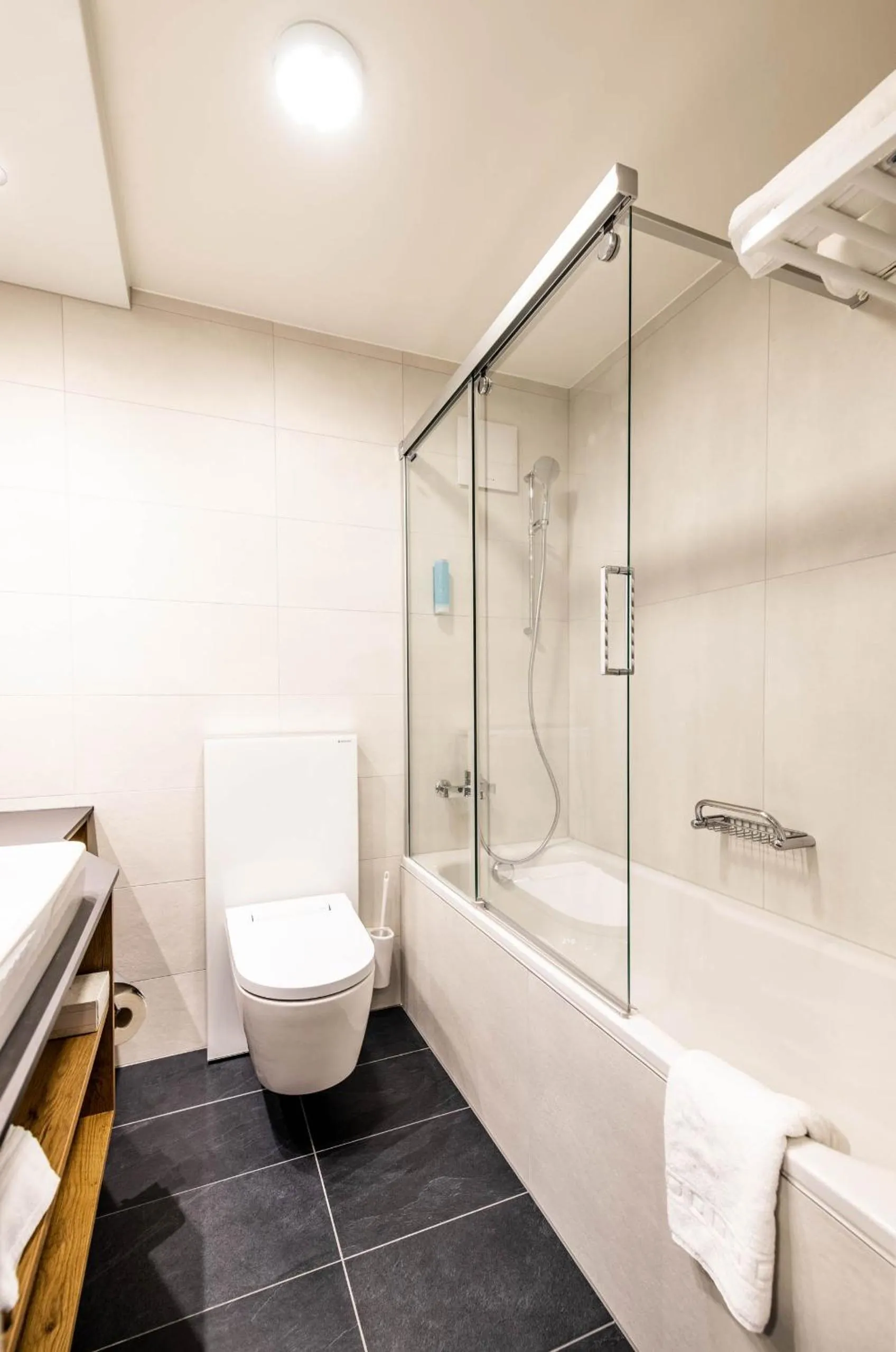 Toilet in Alpenhotel Schlüssel