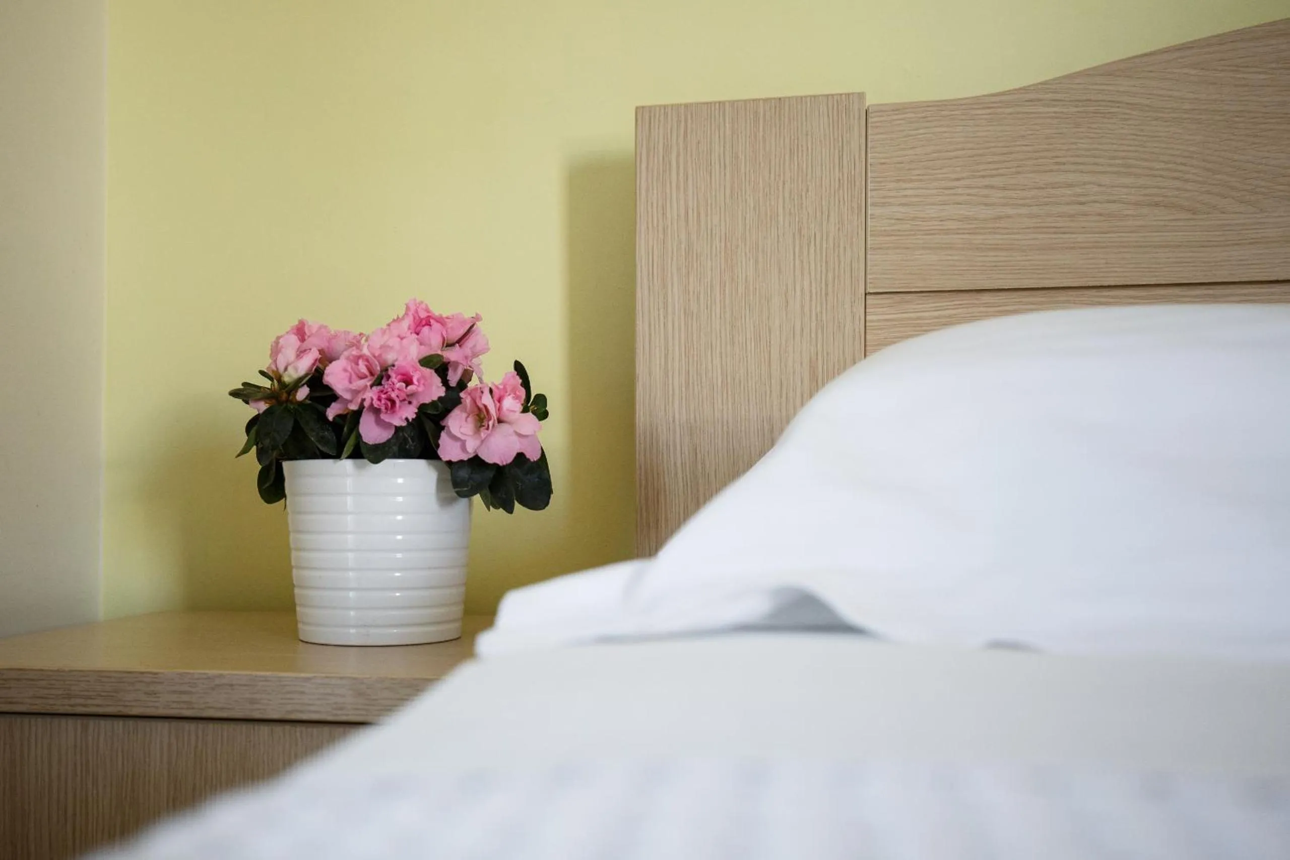 Bed in Mavridis Studios