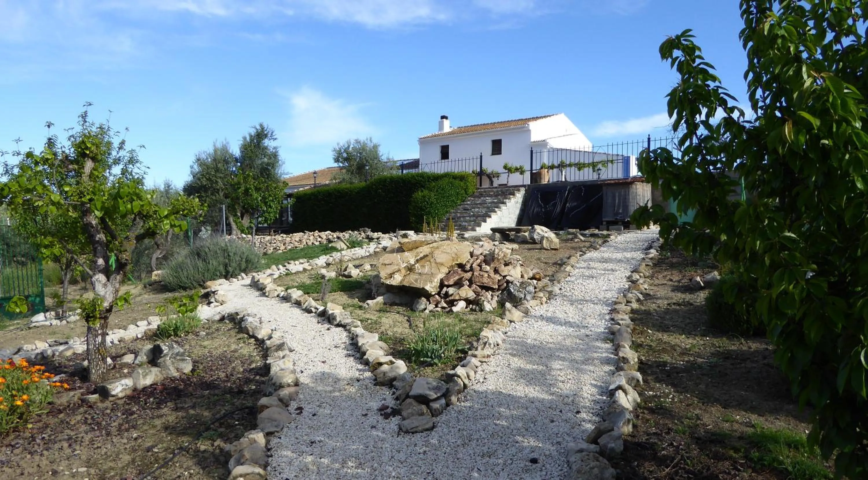 Garden in B&B Lasnavillasmm