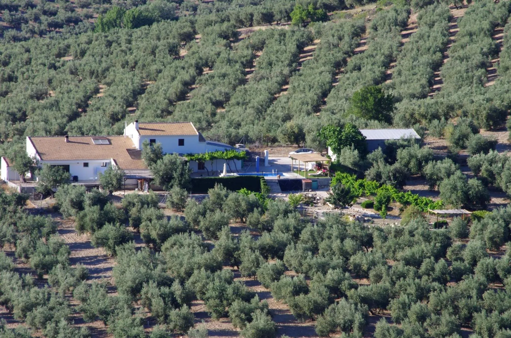 Property building in B&B Lasnavillasmm