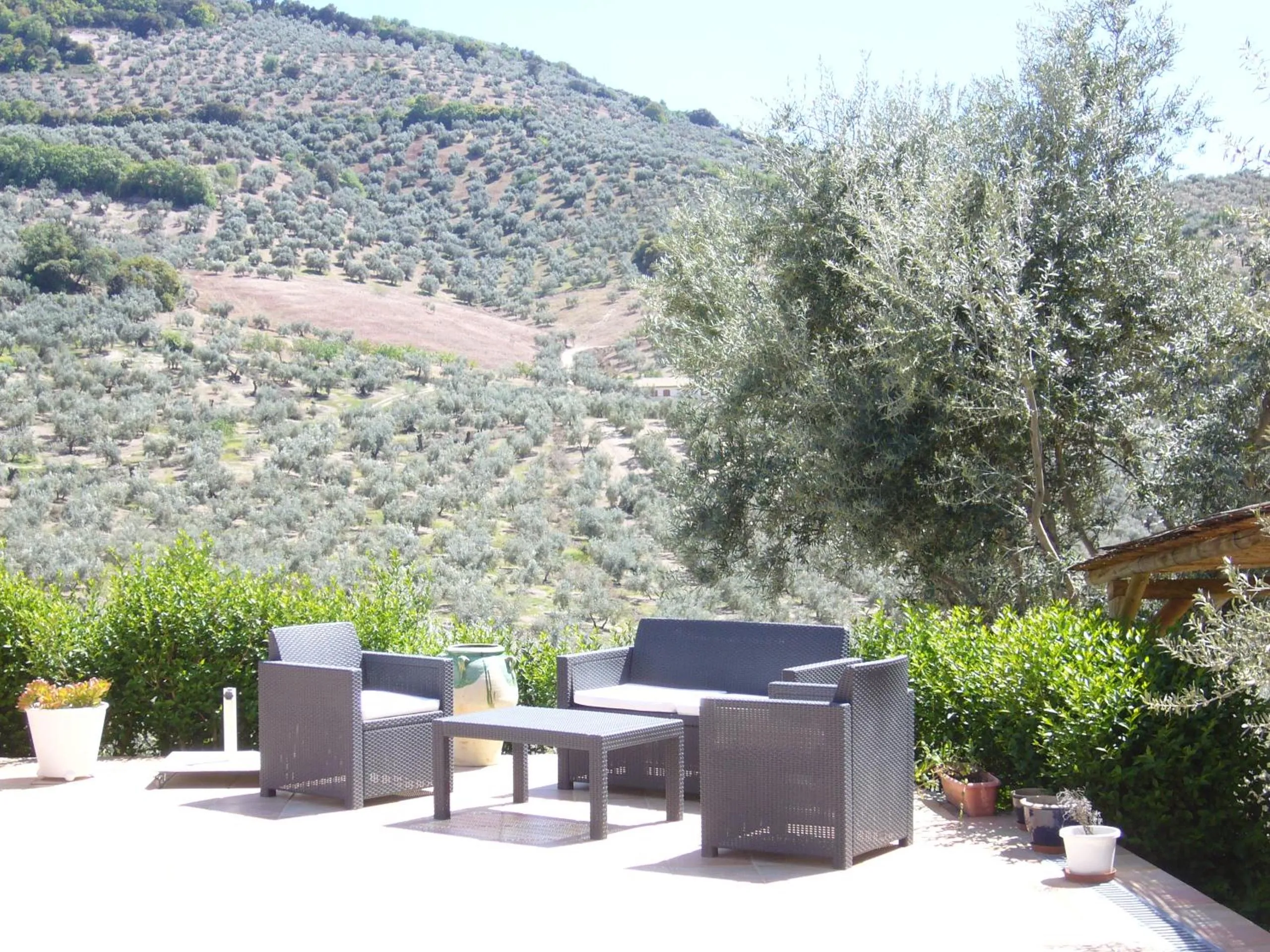 Seating area in B&B Lasnavillasmm