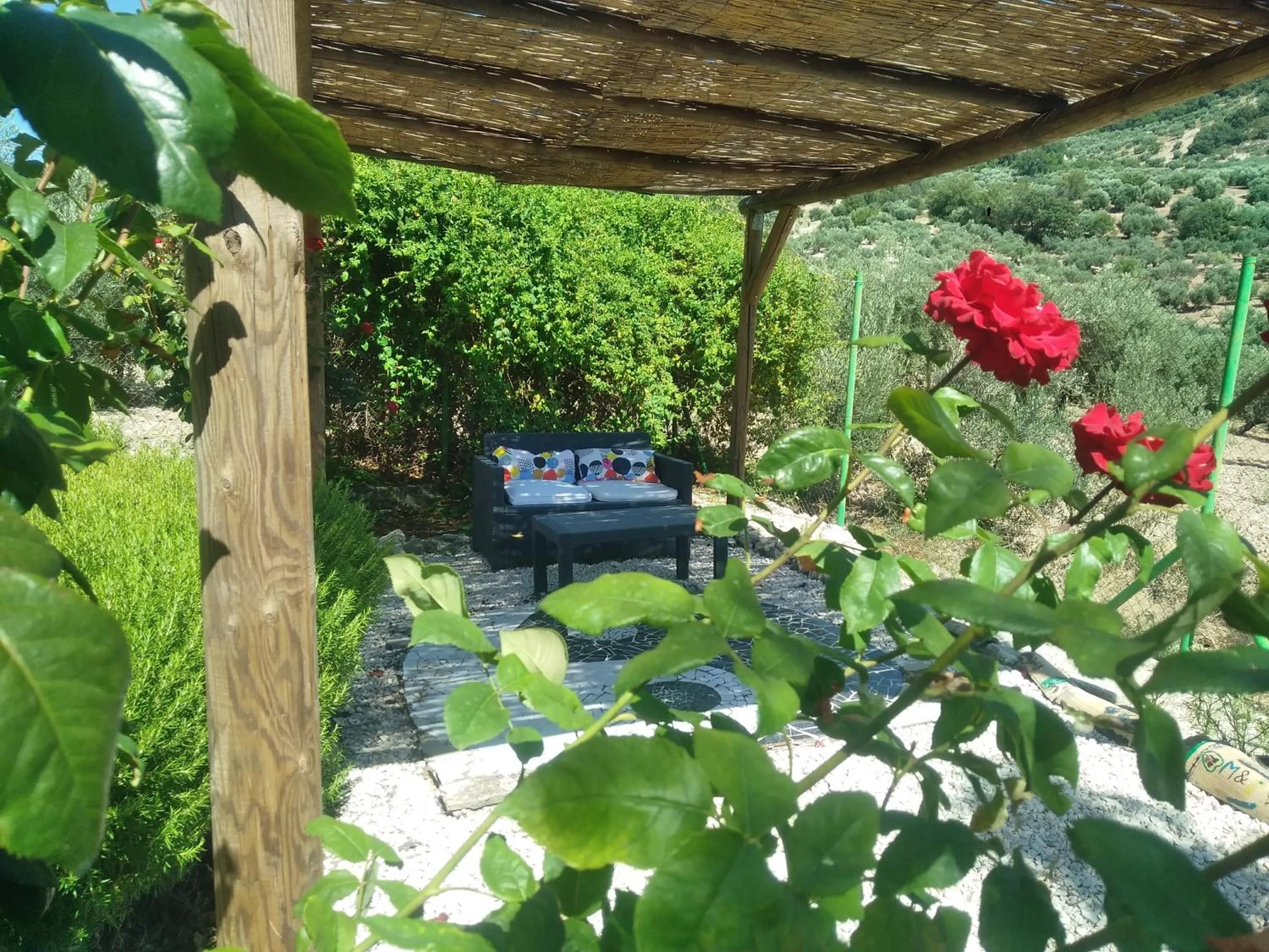 Garden in B&B Lasnavillasmm