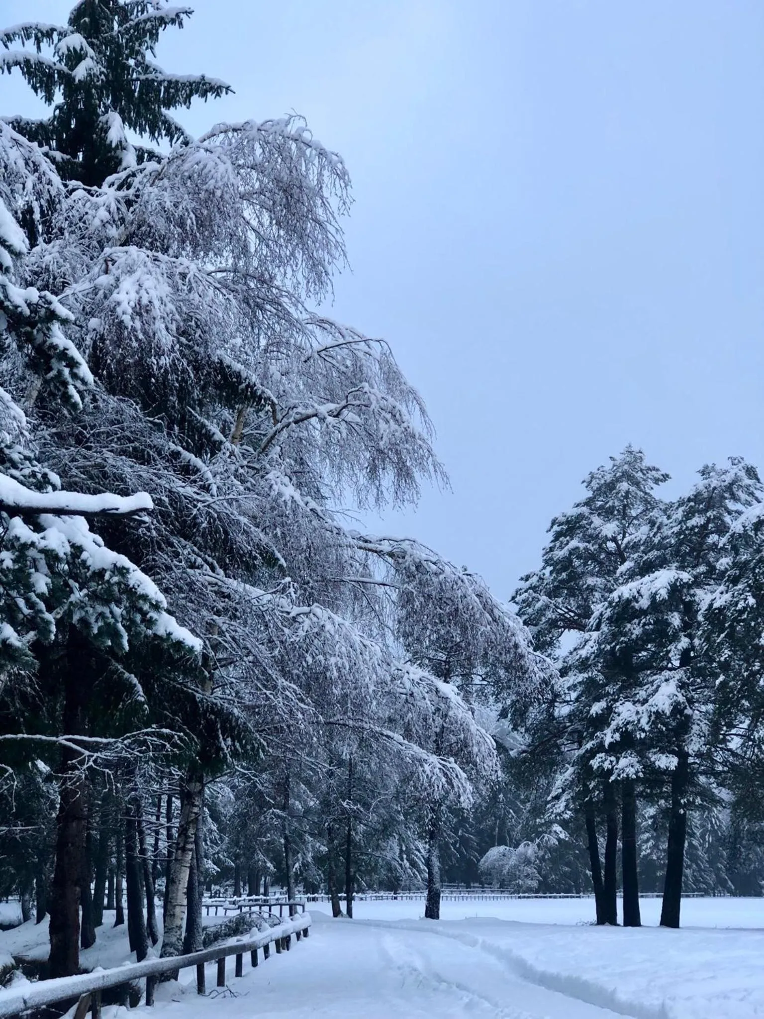 Appartamento Il Portico