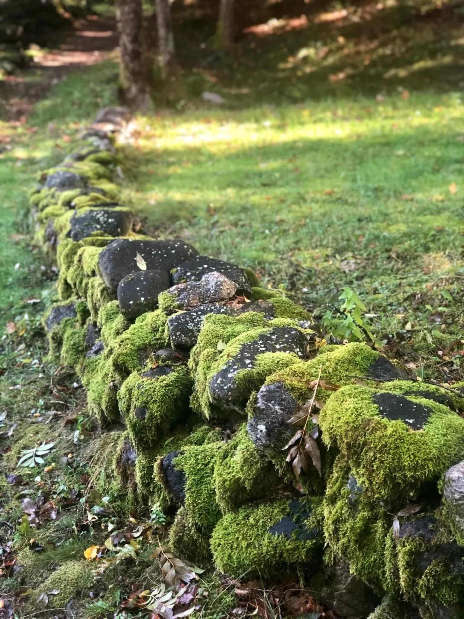 Appartamento Il Portico