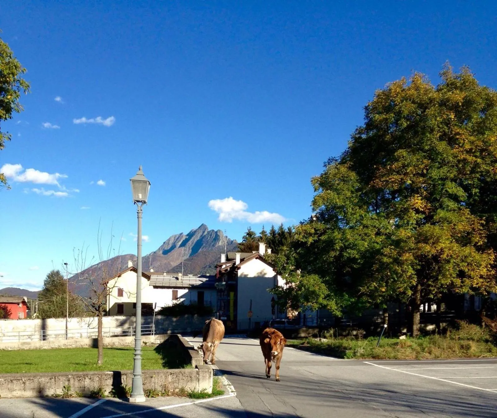 Natural landscape in Appartamento Il Portico