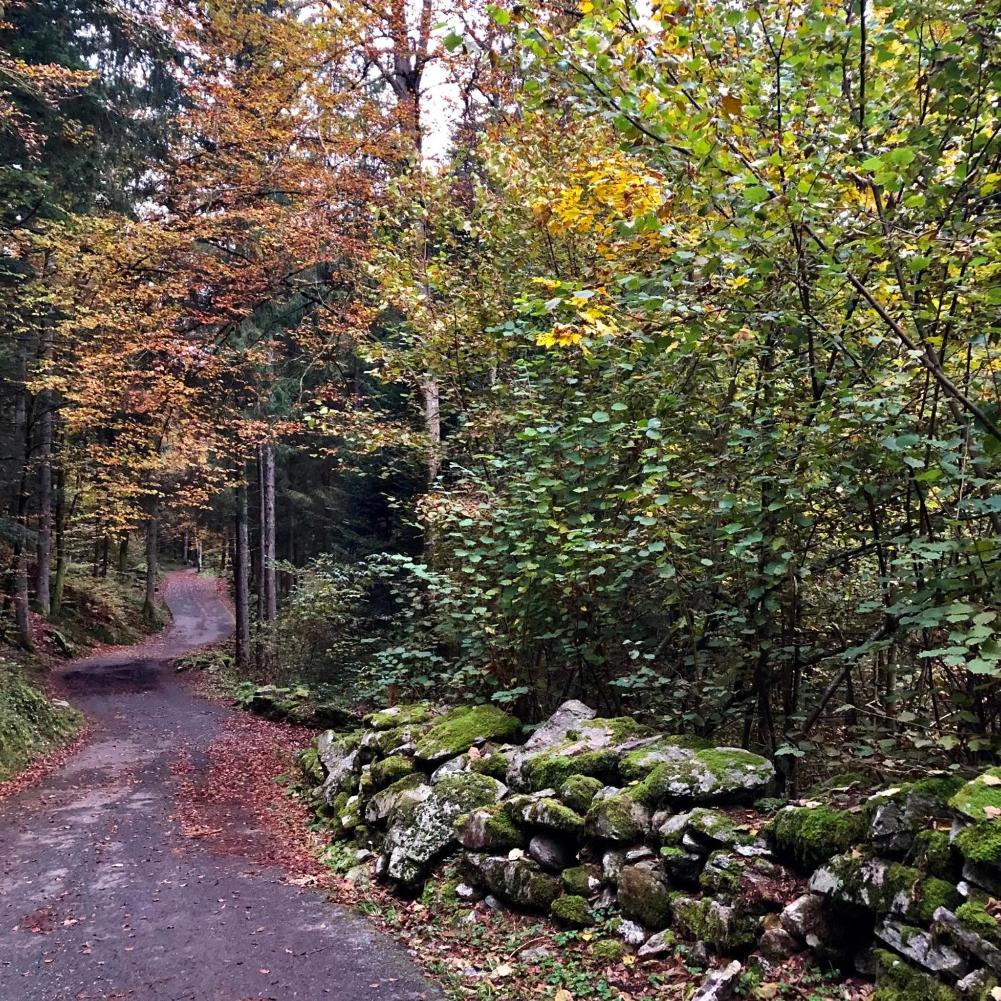 Appartamento Il Portico