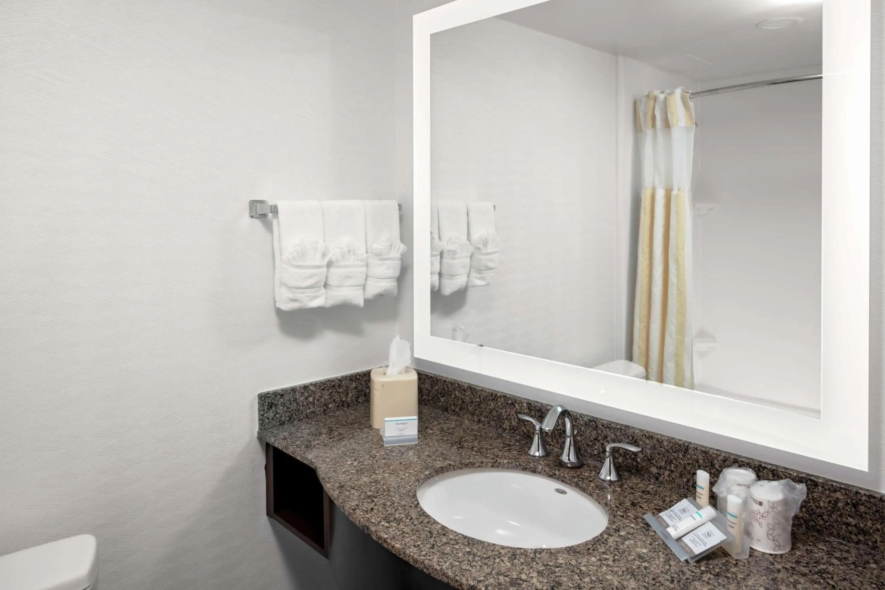 Bathroom in Hilton Garden Inn Atlanta Perimeter Center