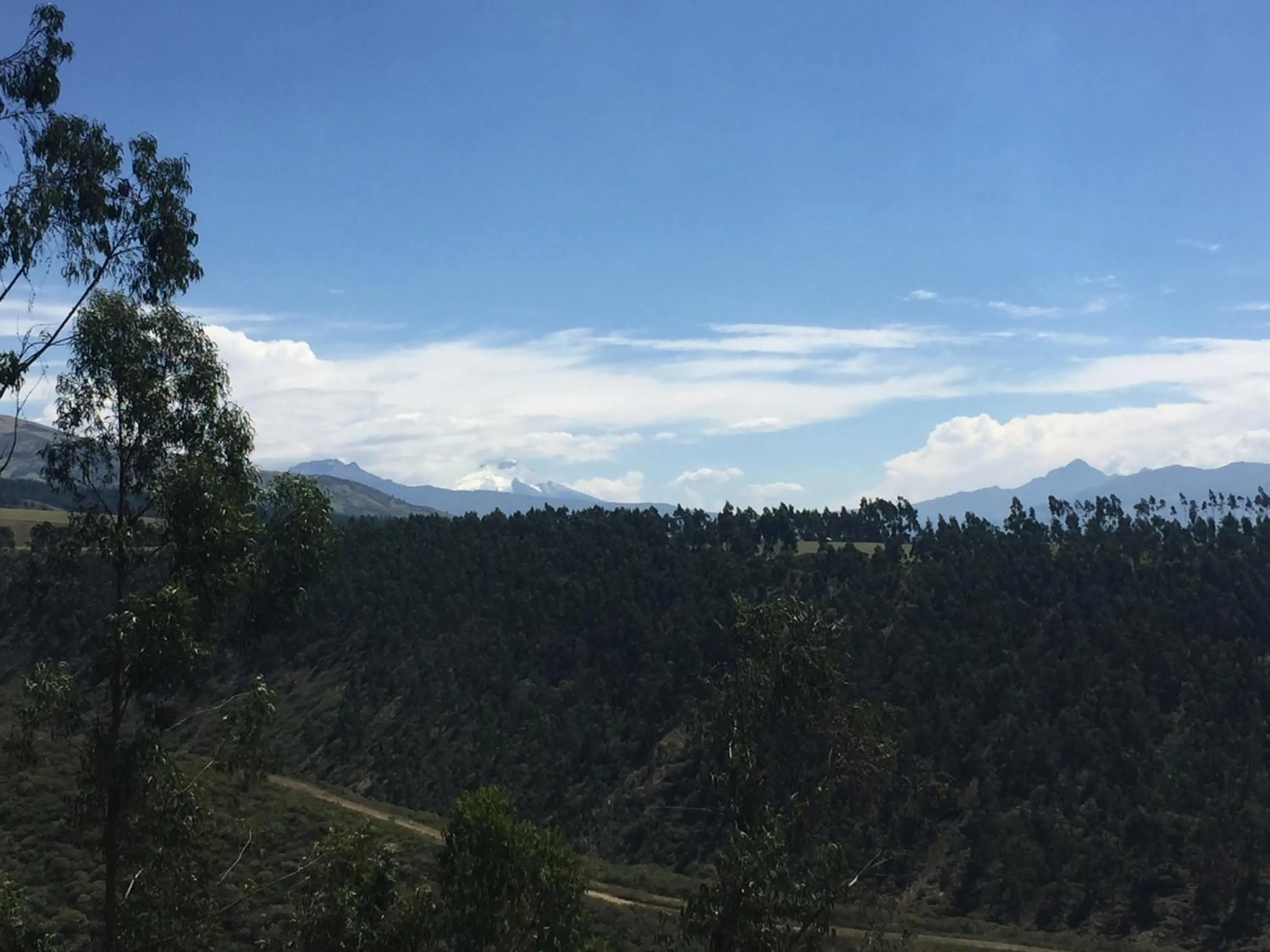 Neighbourhood in Hacienda Las Cuevas Terra Lodge