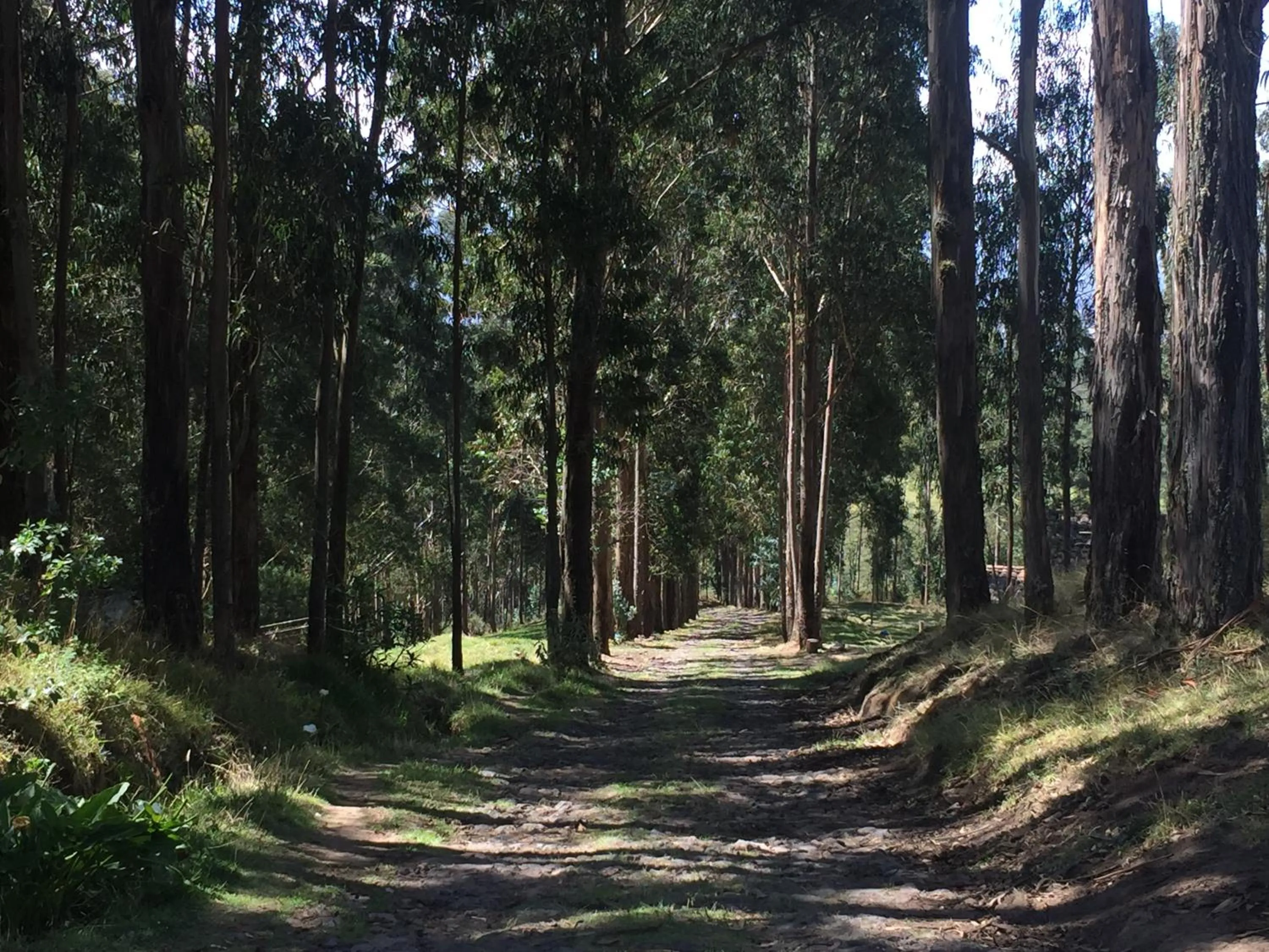Street view in Hacienda Las Cuevas Terra Lodge