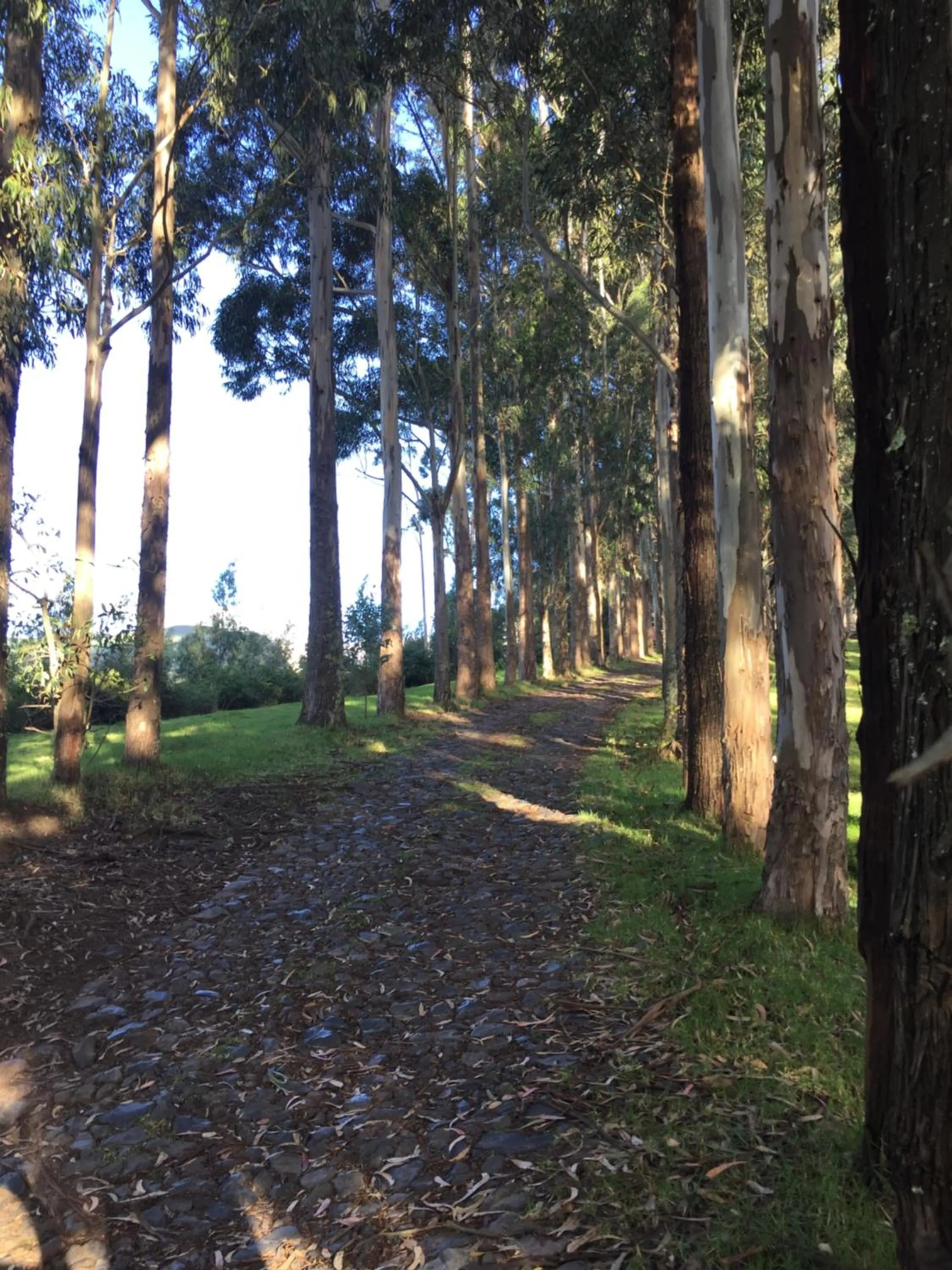 Hiking in Hacienda Las Cuevas Terra Lodge