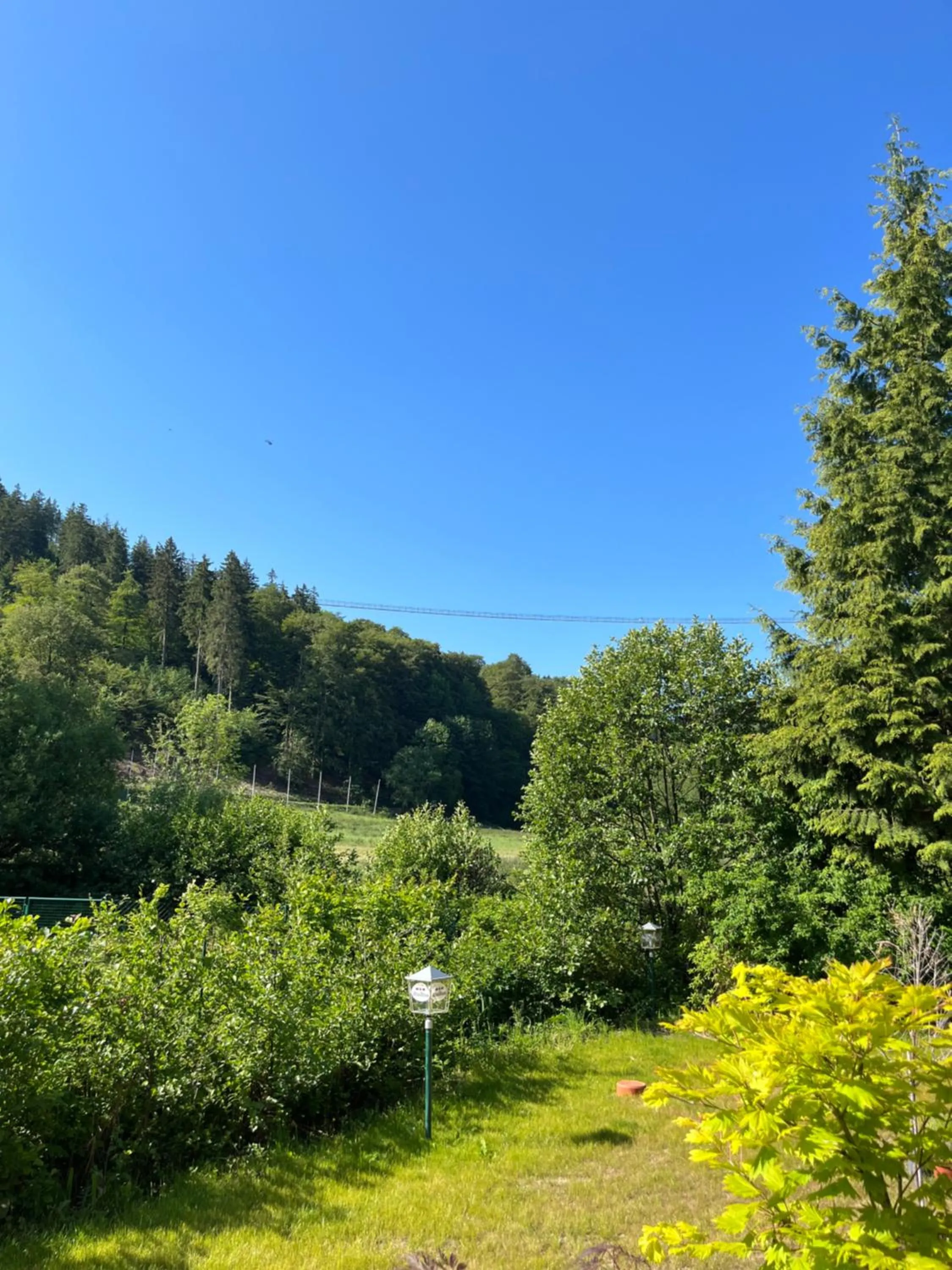 Hotel zum Forsthaus
