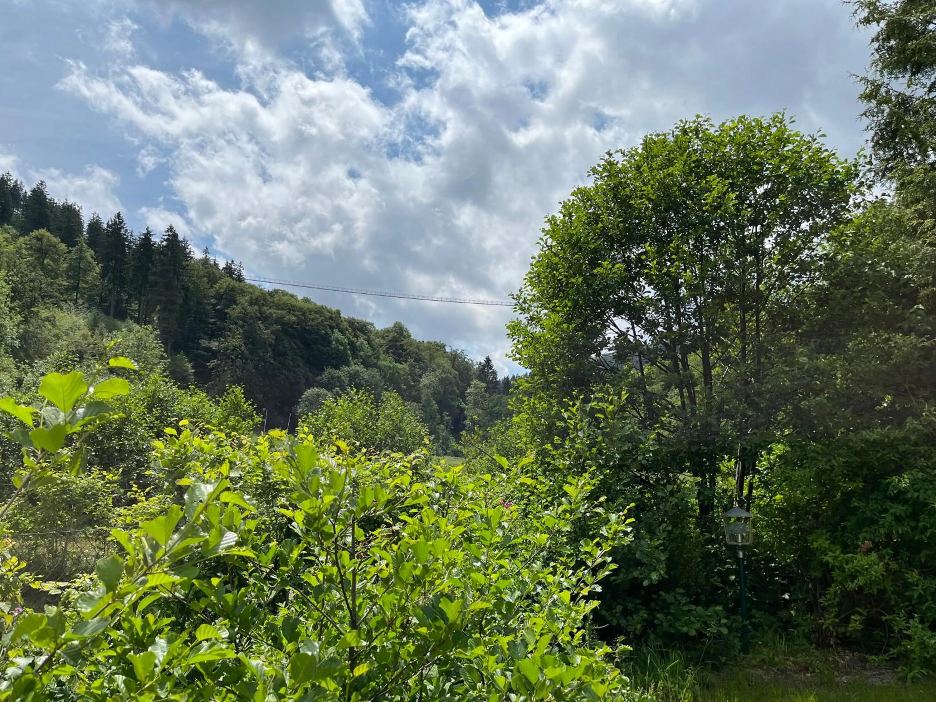 Hotel zum Forsthaus