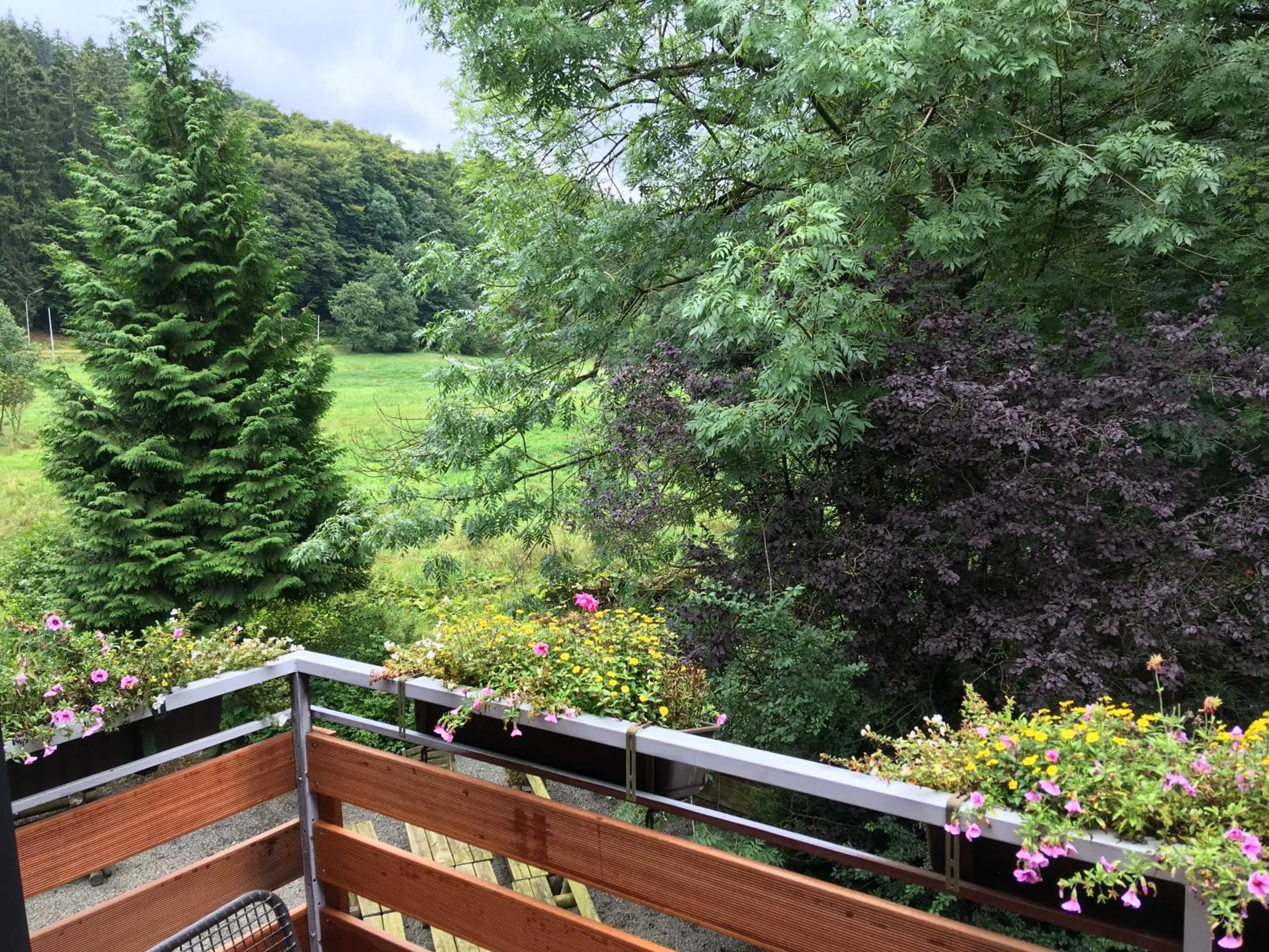 Hotel zum Forsthaus